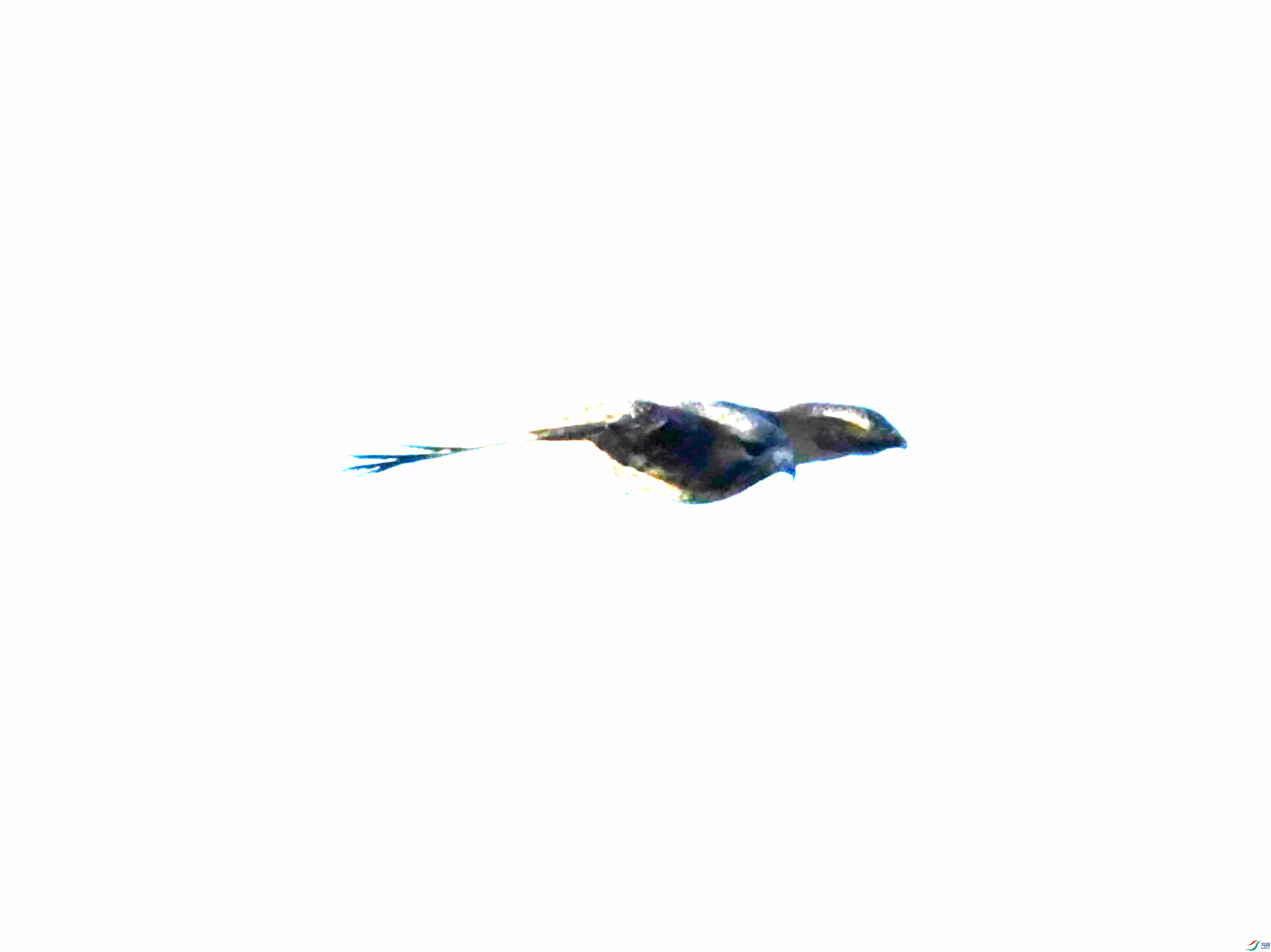 DSC_1118.JPG