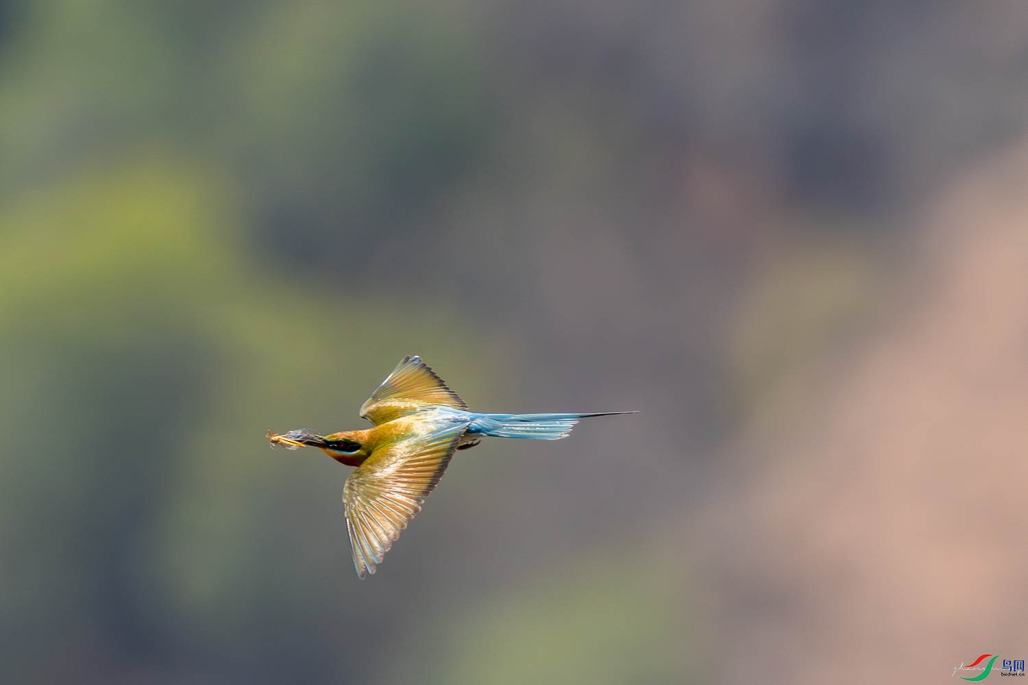 DSC02903 - ����-����ǿ-����.jpg