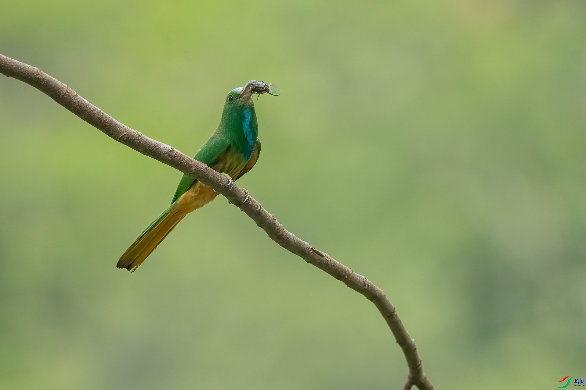 B86I5963 _����.jpg