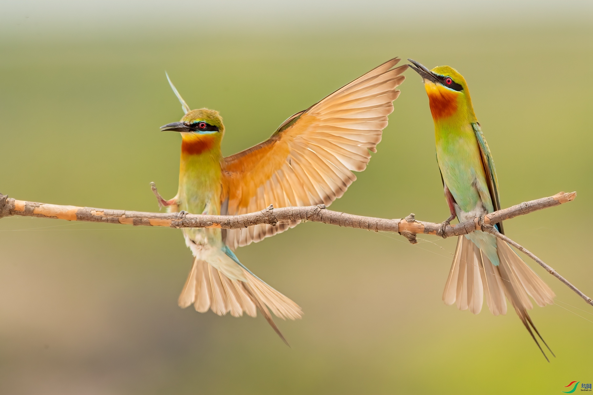 B86I5314 _����.jpg