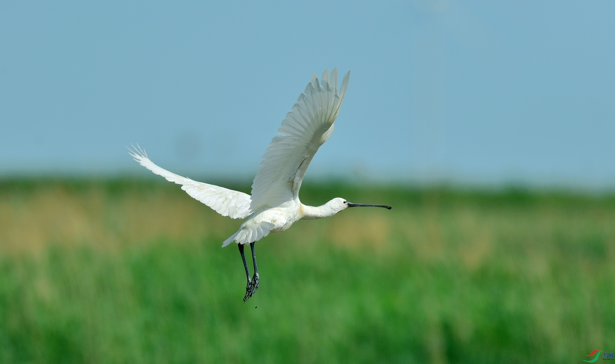WZL_6945.jpg