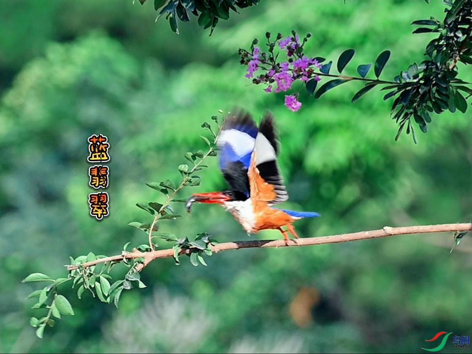 7��2�� (1)-����.jpg