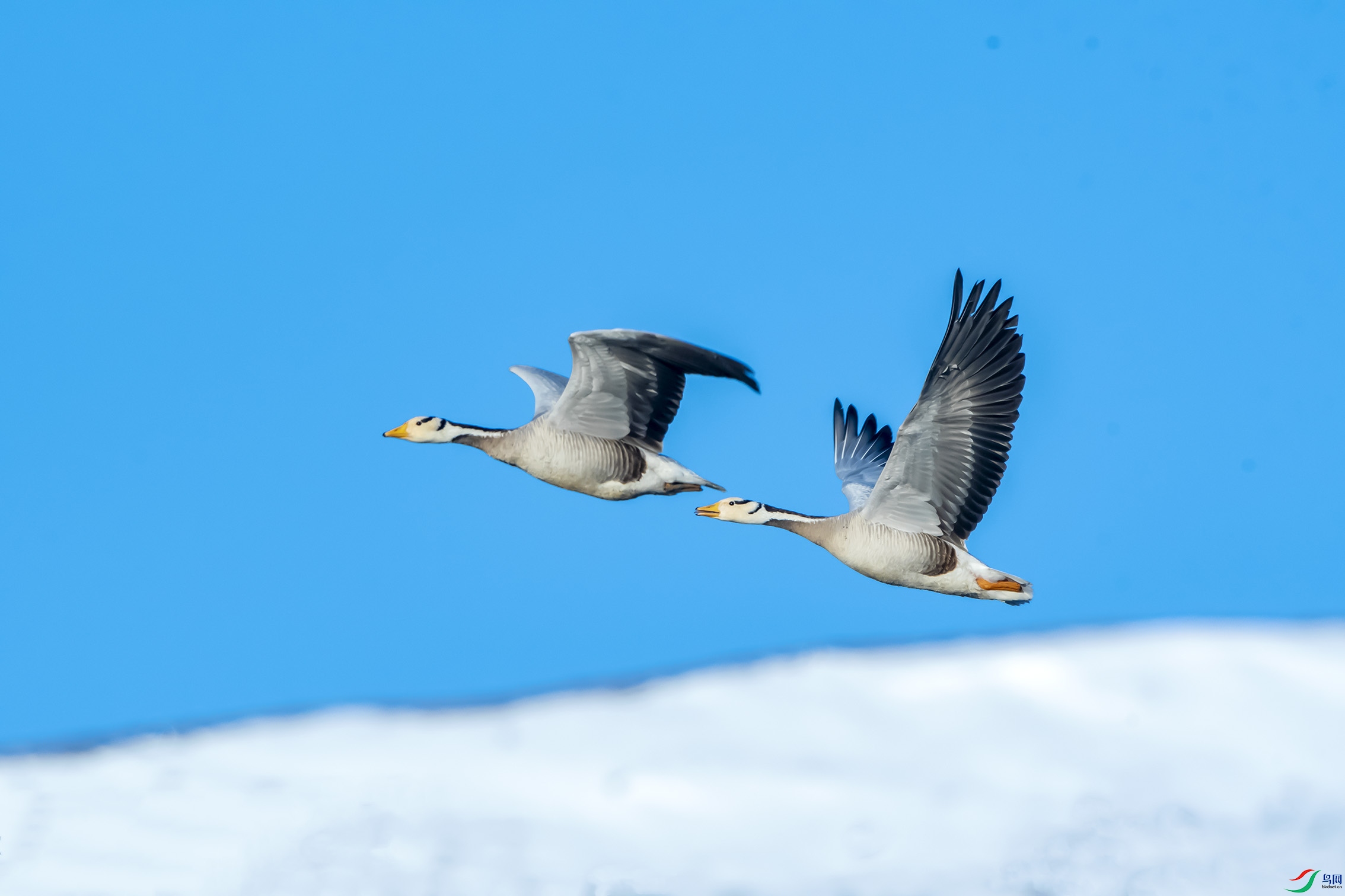 DSC_6655.jpg