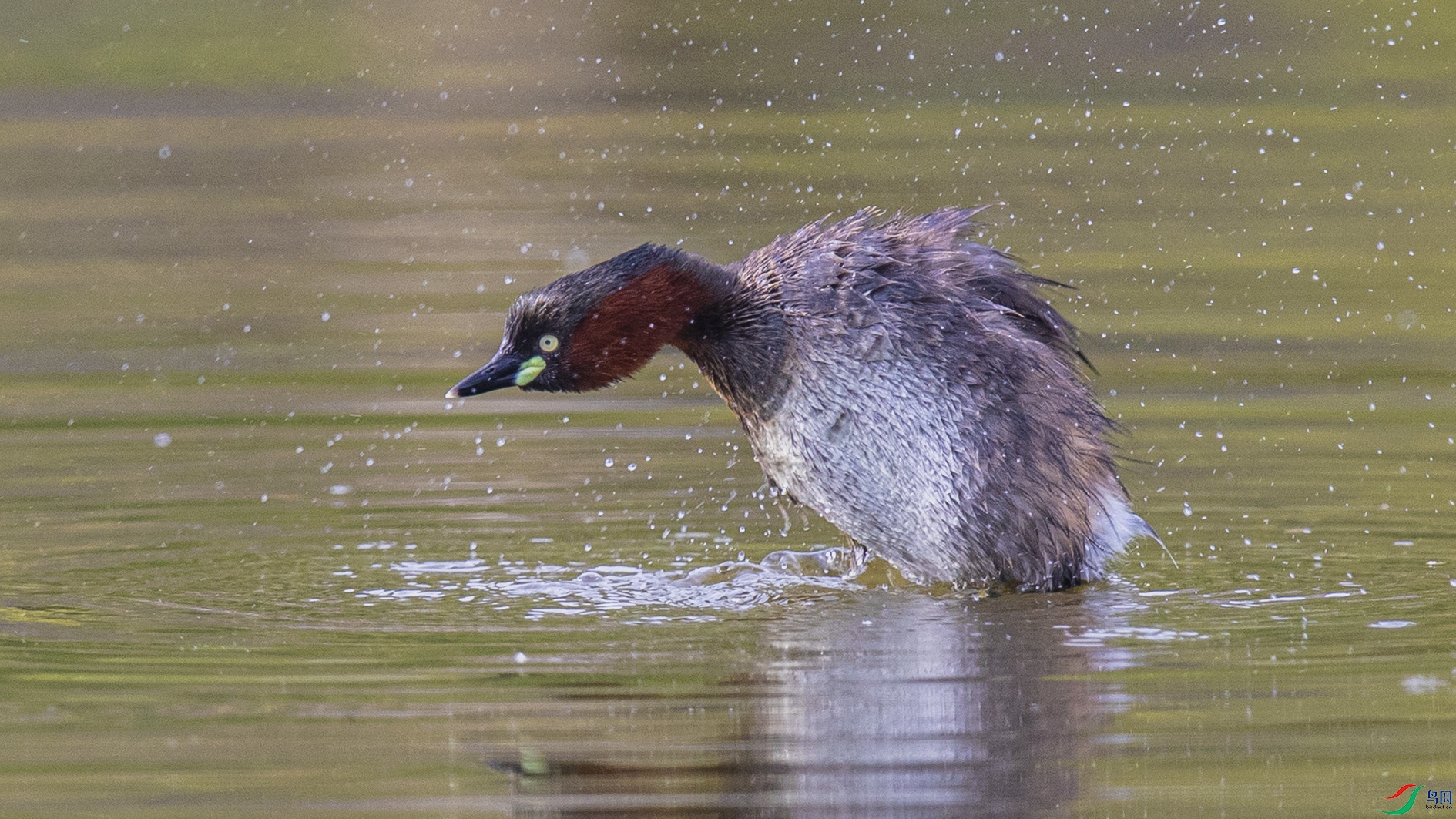 _90I9932 ����.jpg