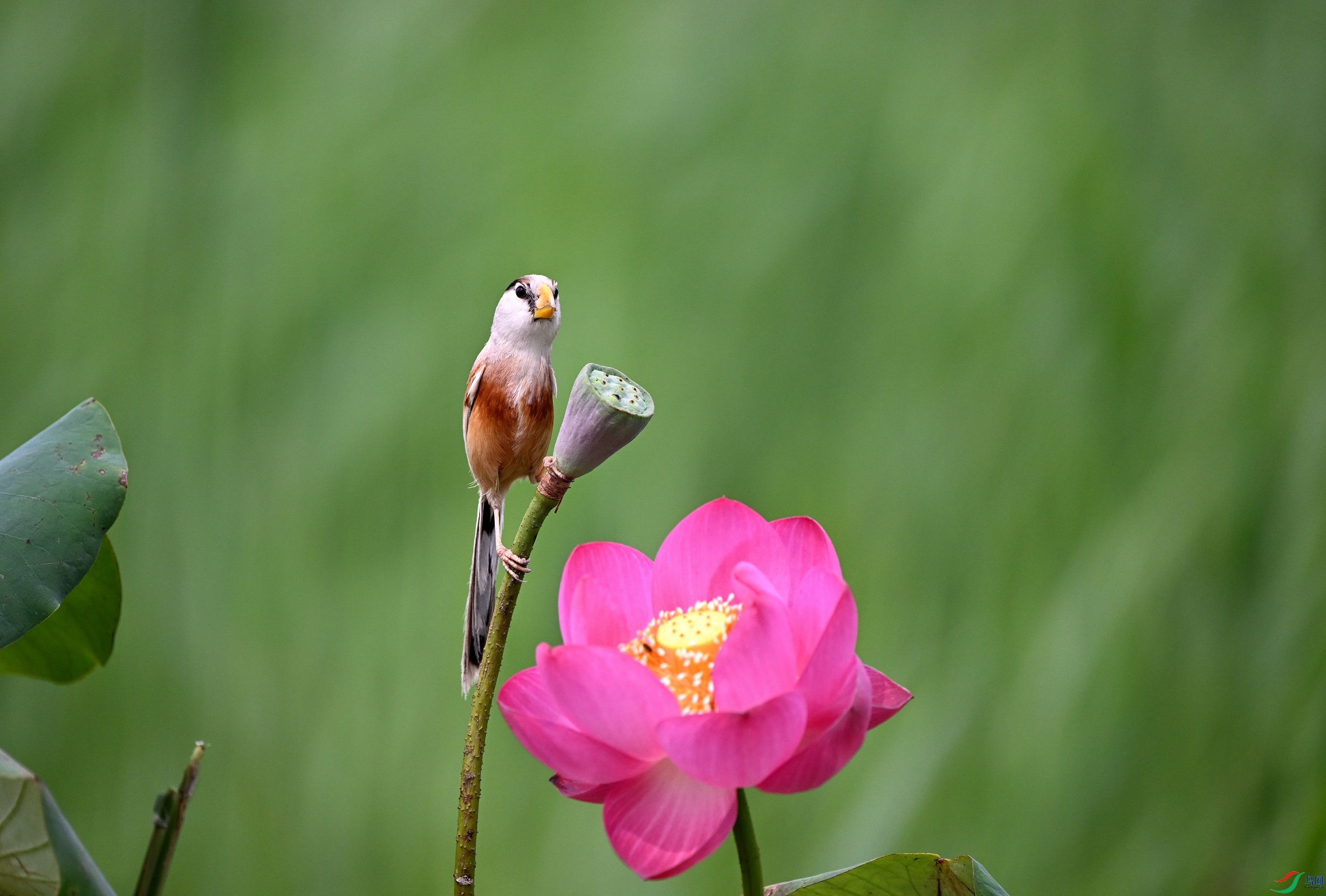 DSC_8483.JPG