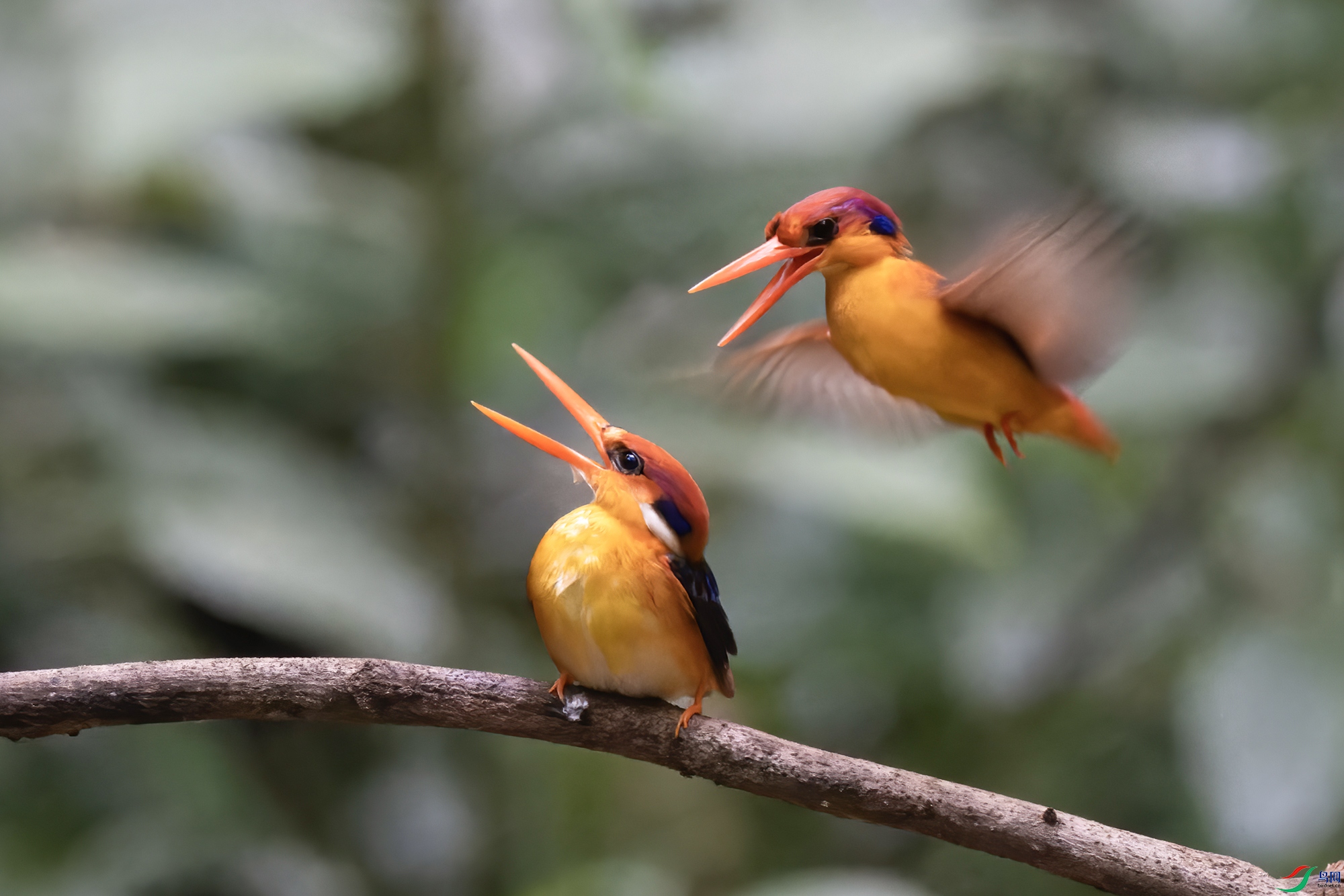 DSC_6142-NEF_DxO_DeepPRIME ���� 2.jpg