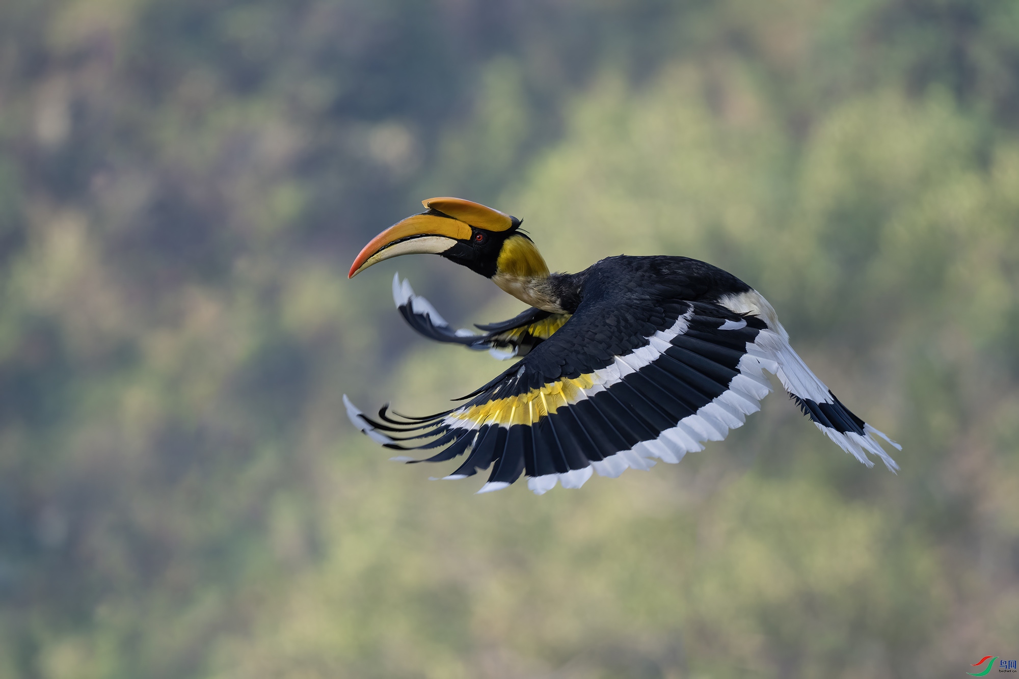 DSC_7708 ����(Сͼ��.jpg