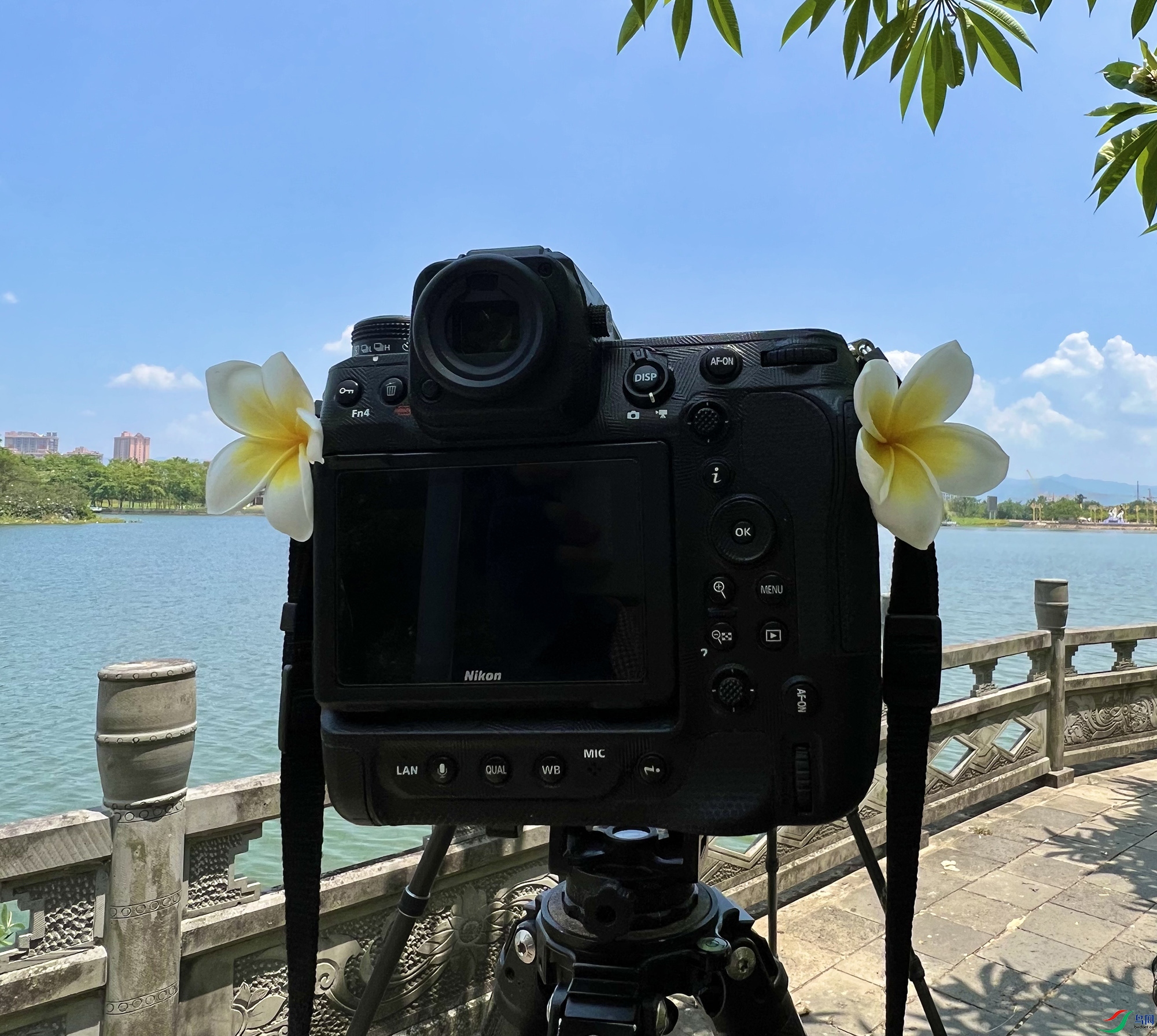 7c8c3ebe14558b5ee9988b6ce01462c ����.jpg