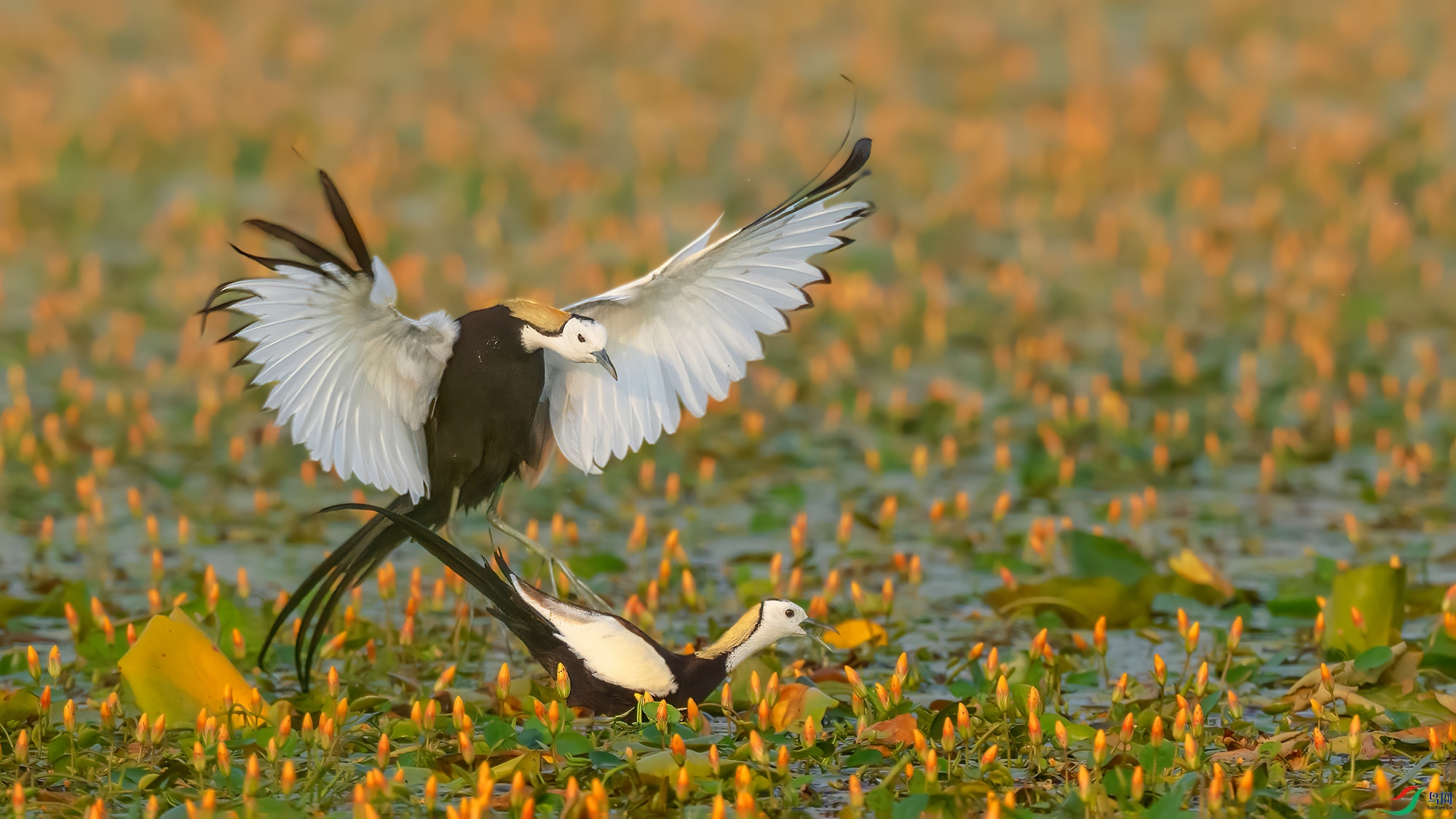 DSC_5055 ����.jpg