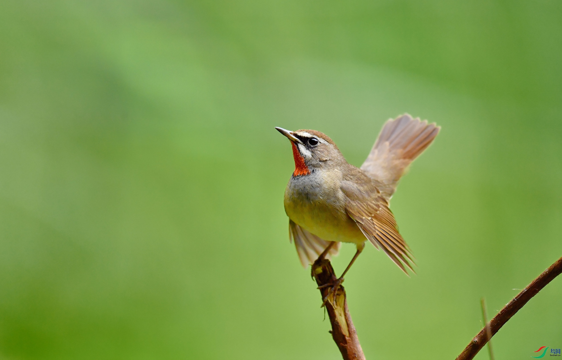 DSC_6515_01.JPG
