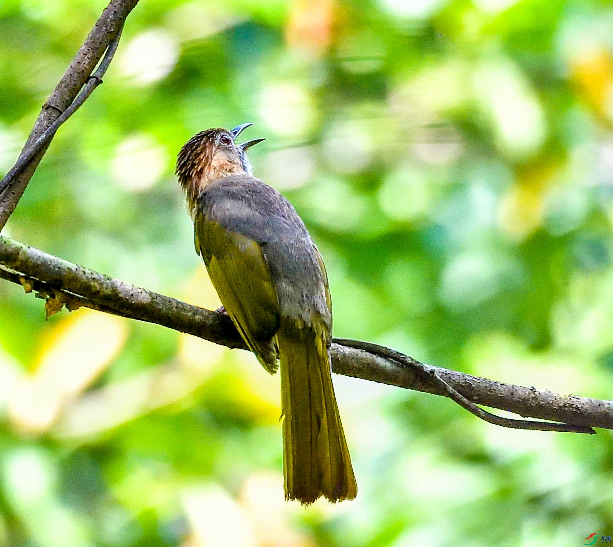 DSC_4949.jpg