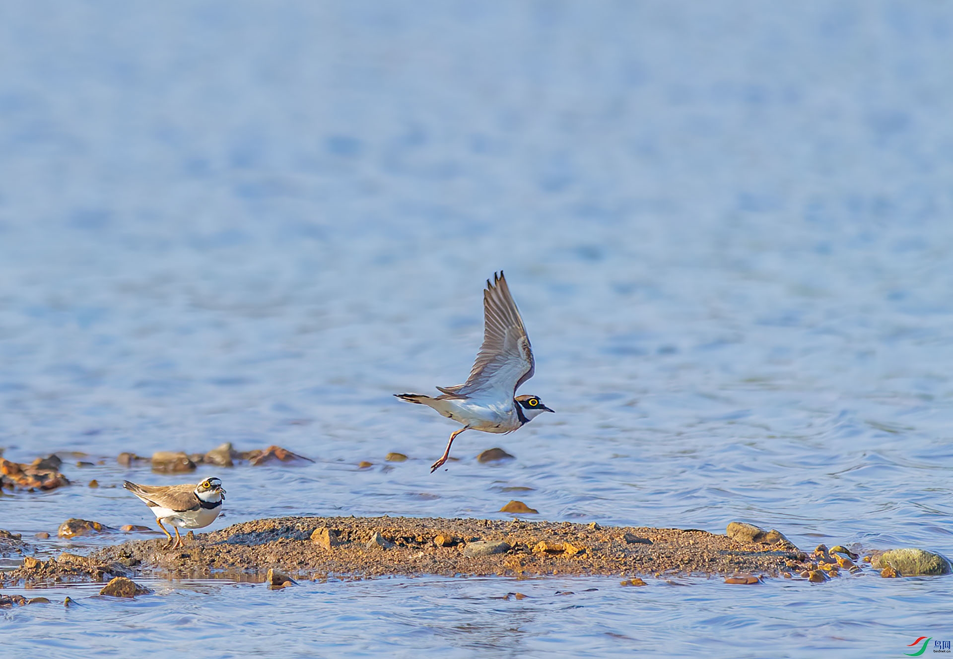 mmexport1653480551410.jpg