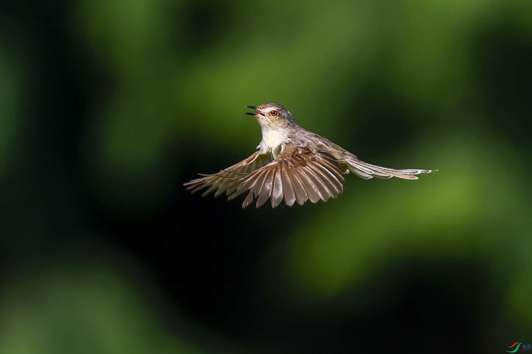 _F2A8650 ����.jpg