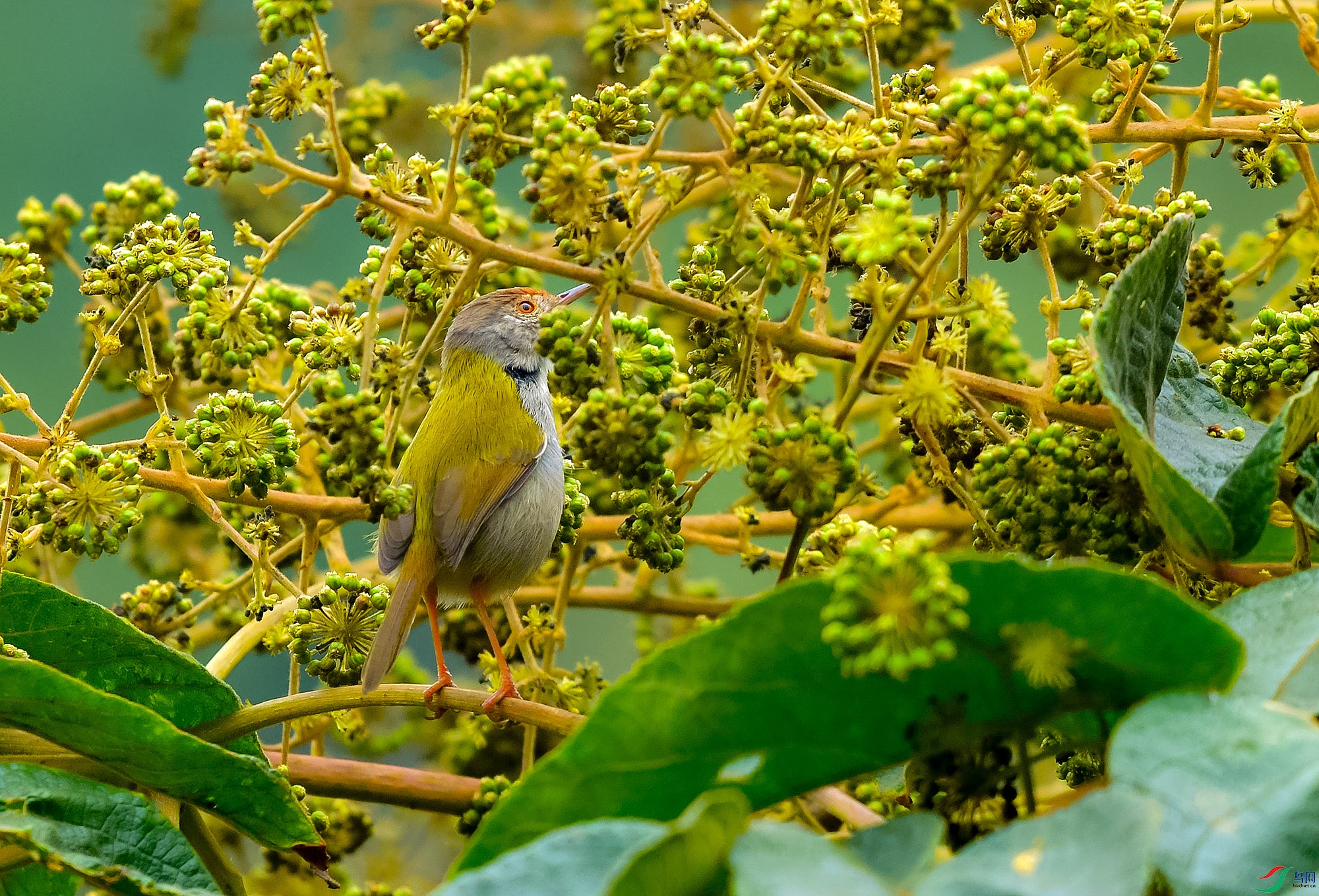 DSC_0455.JPG