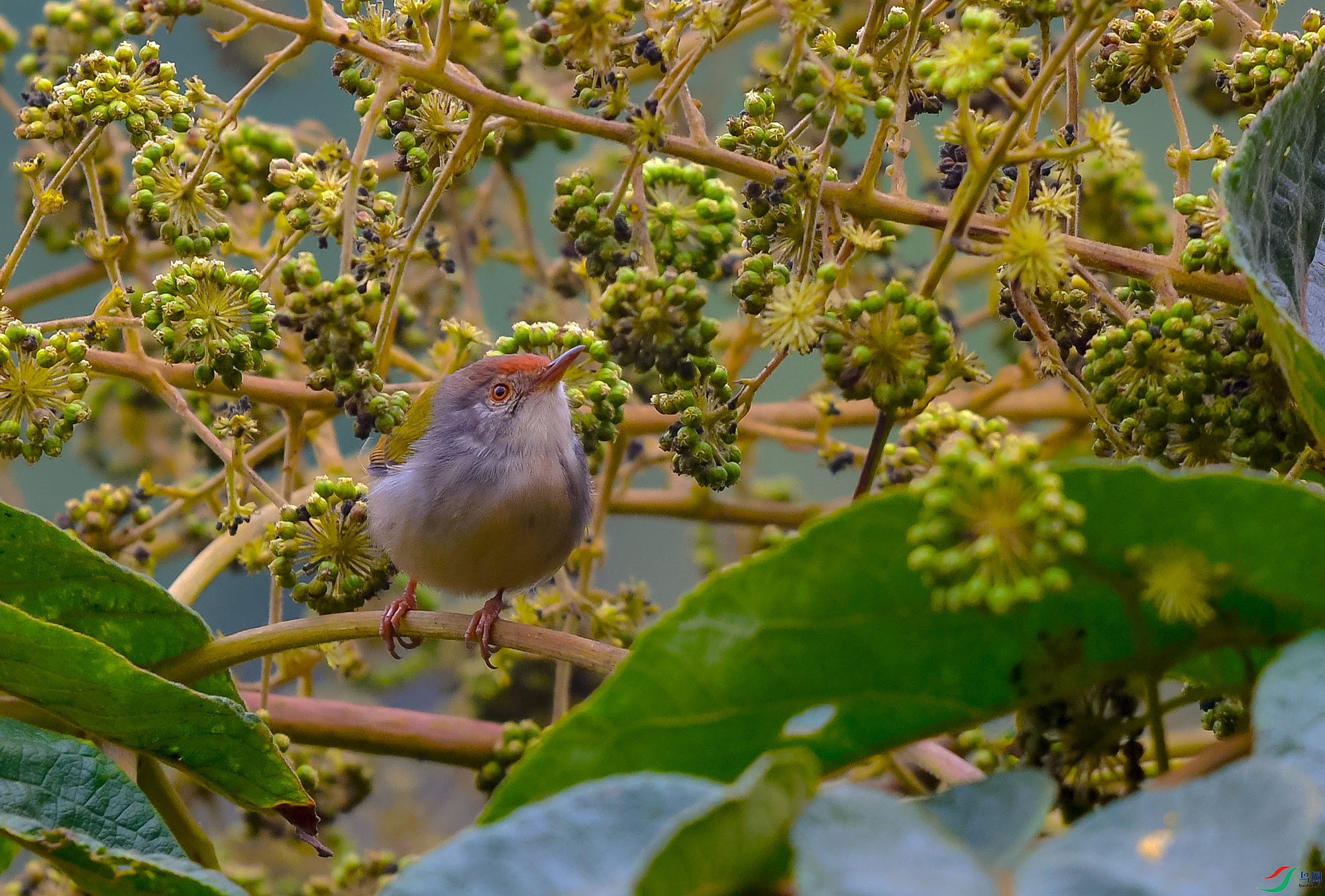DSC_0448.JPG