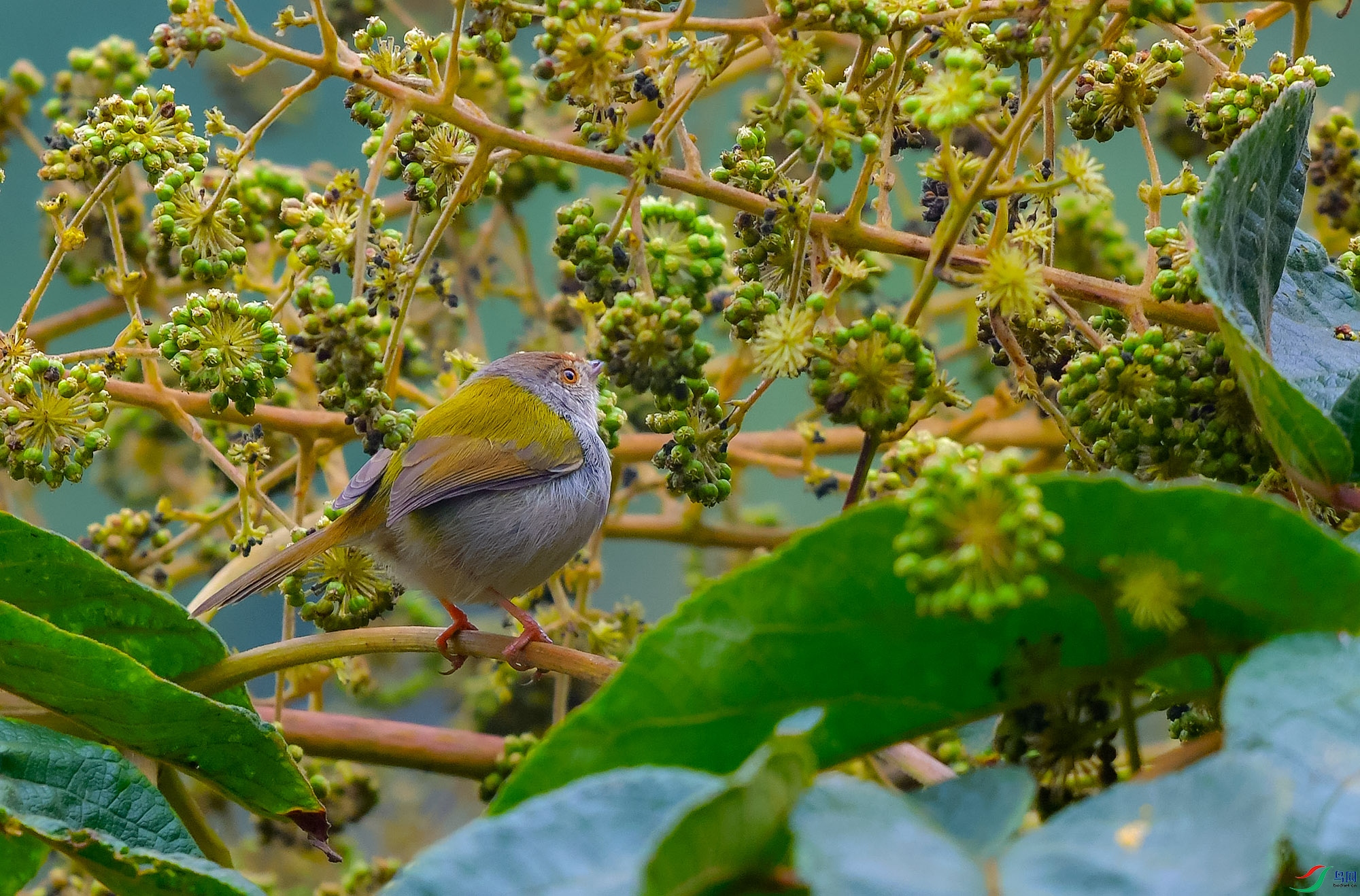 DSC_0450.JPG