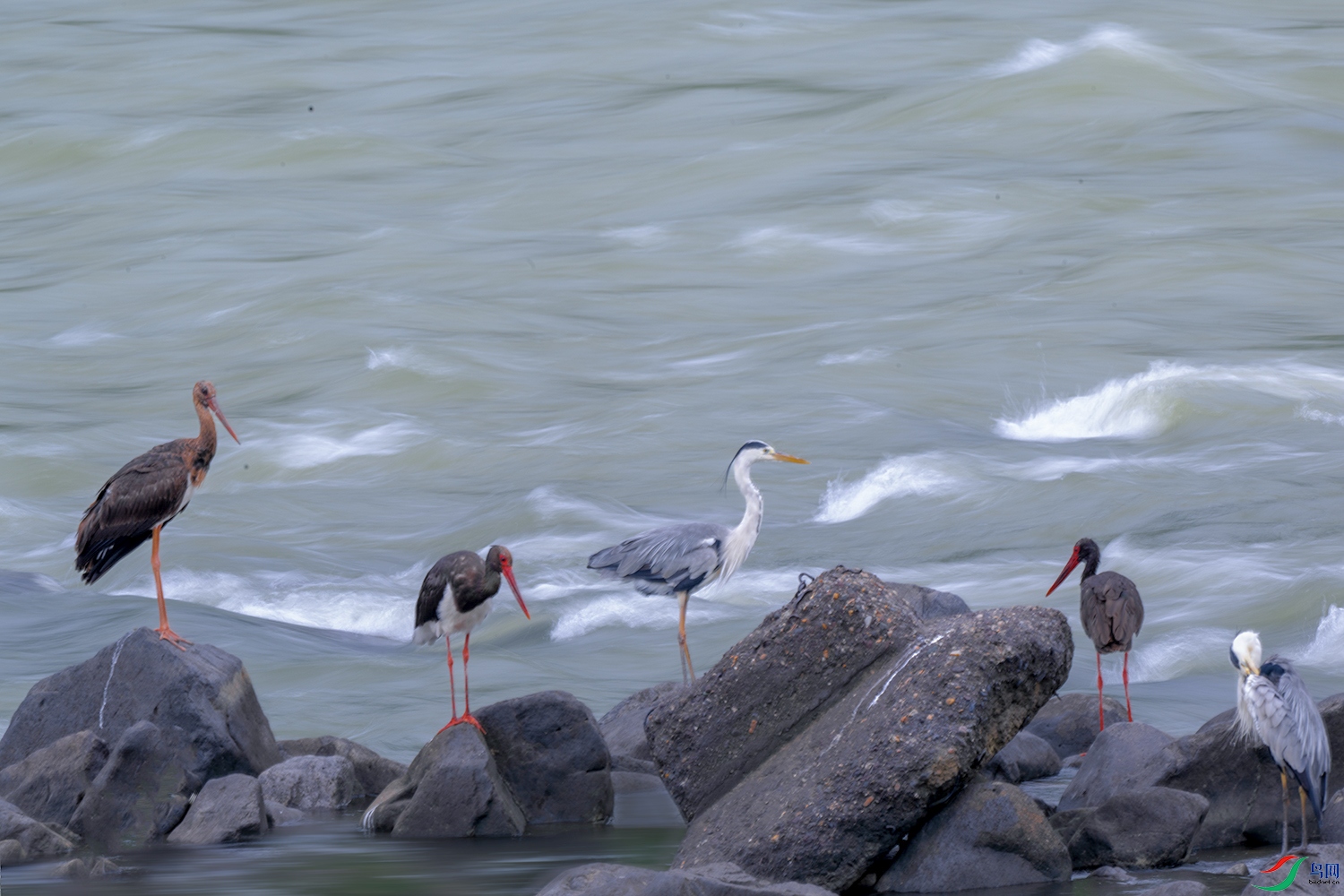 DSC_3215.jpg