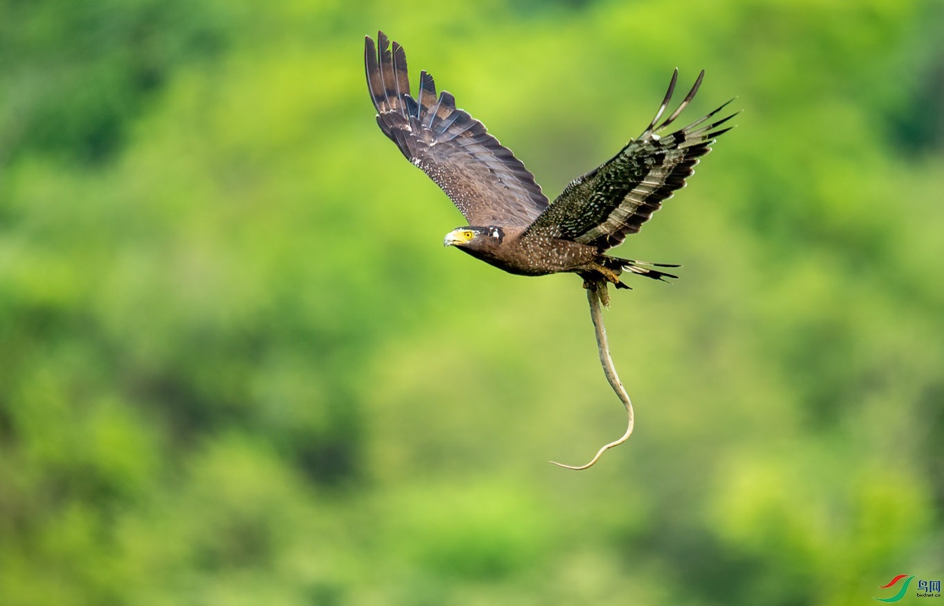 DSC_1259-1.jpg