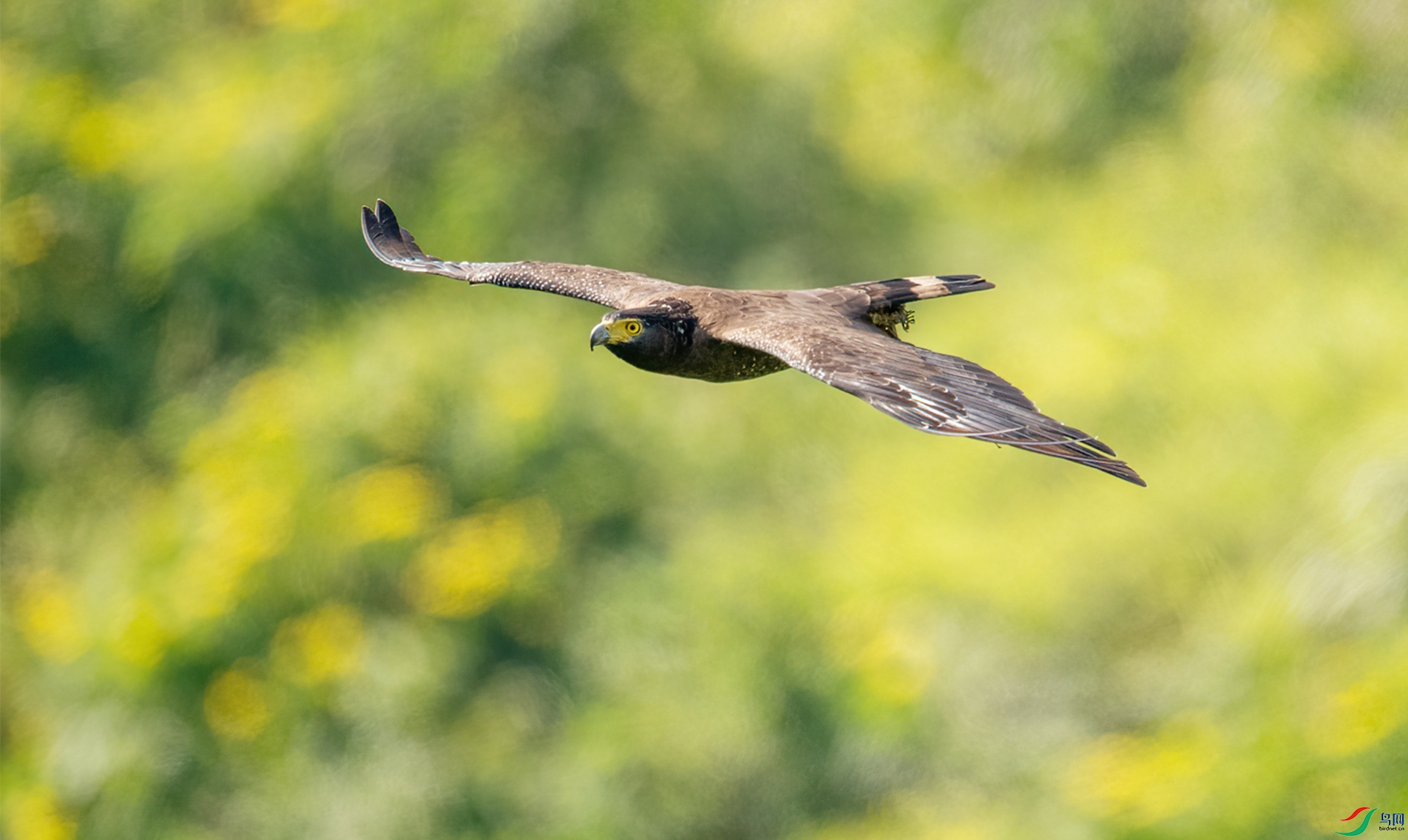 DSC_7914-1.jpg