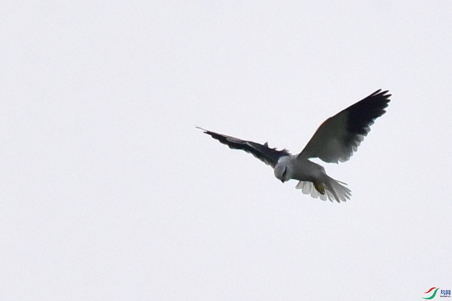 DSC_2073.JPG