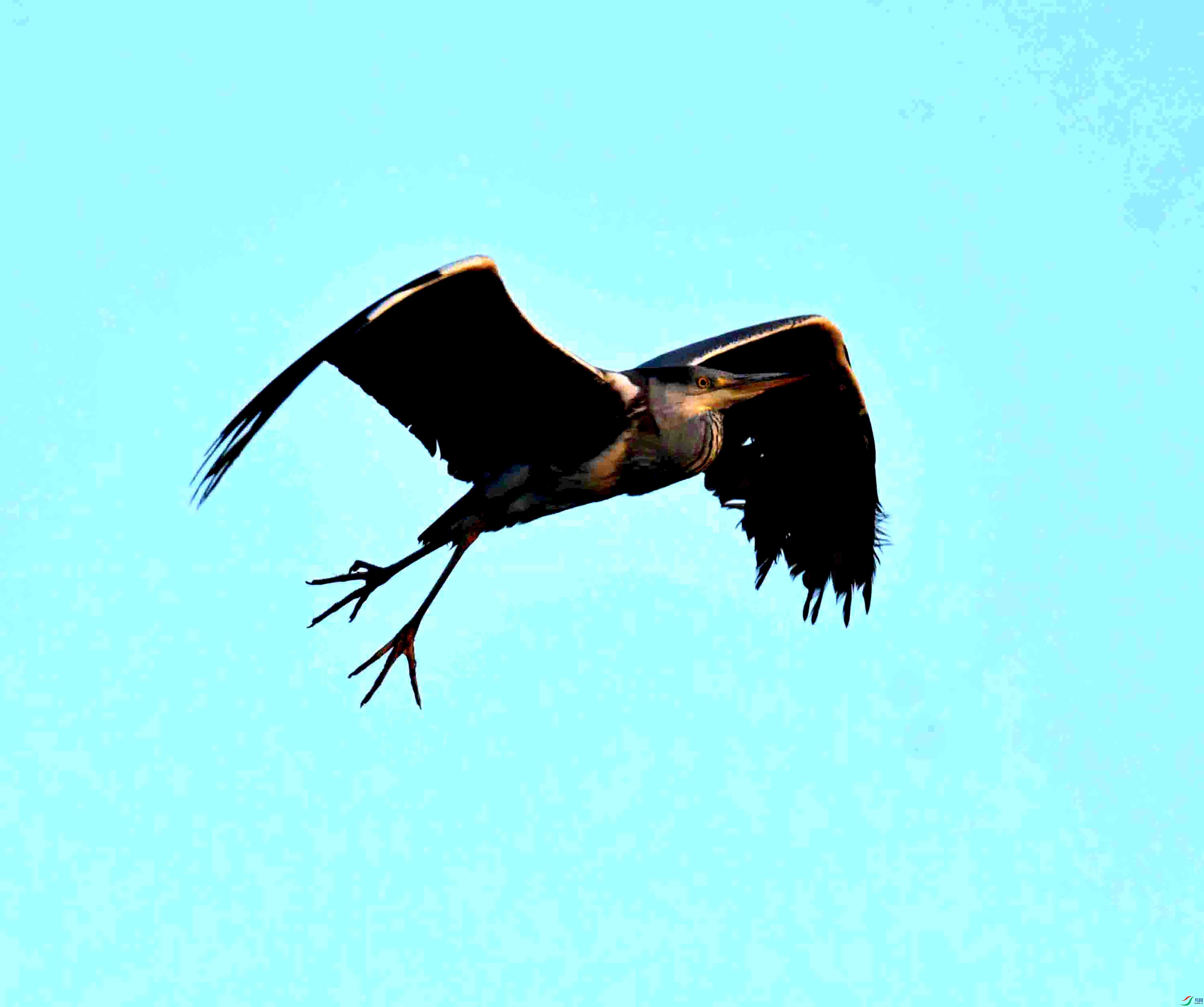 DSC_1531.JPG