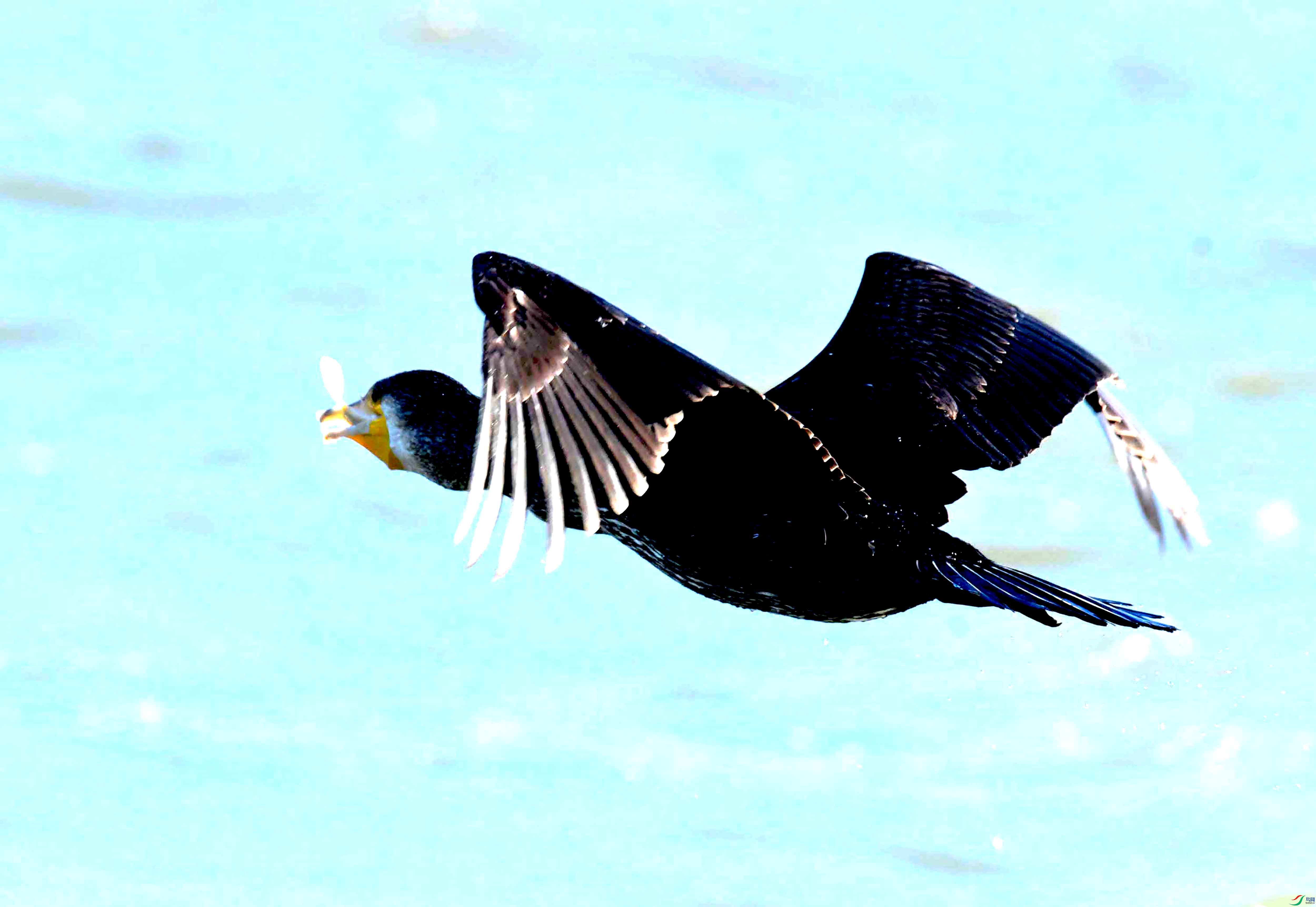 DSC_5020.JPG