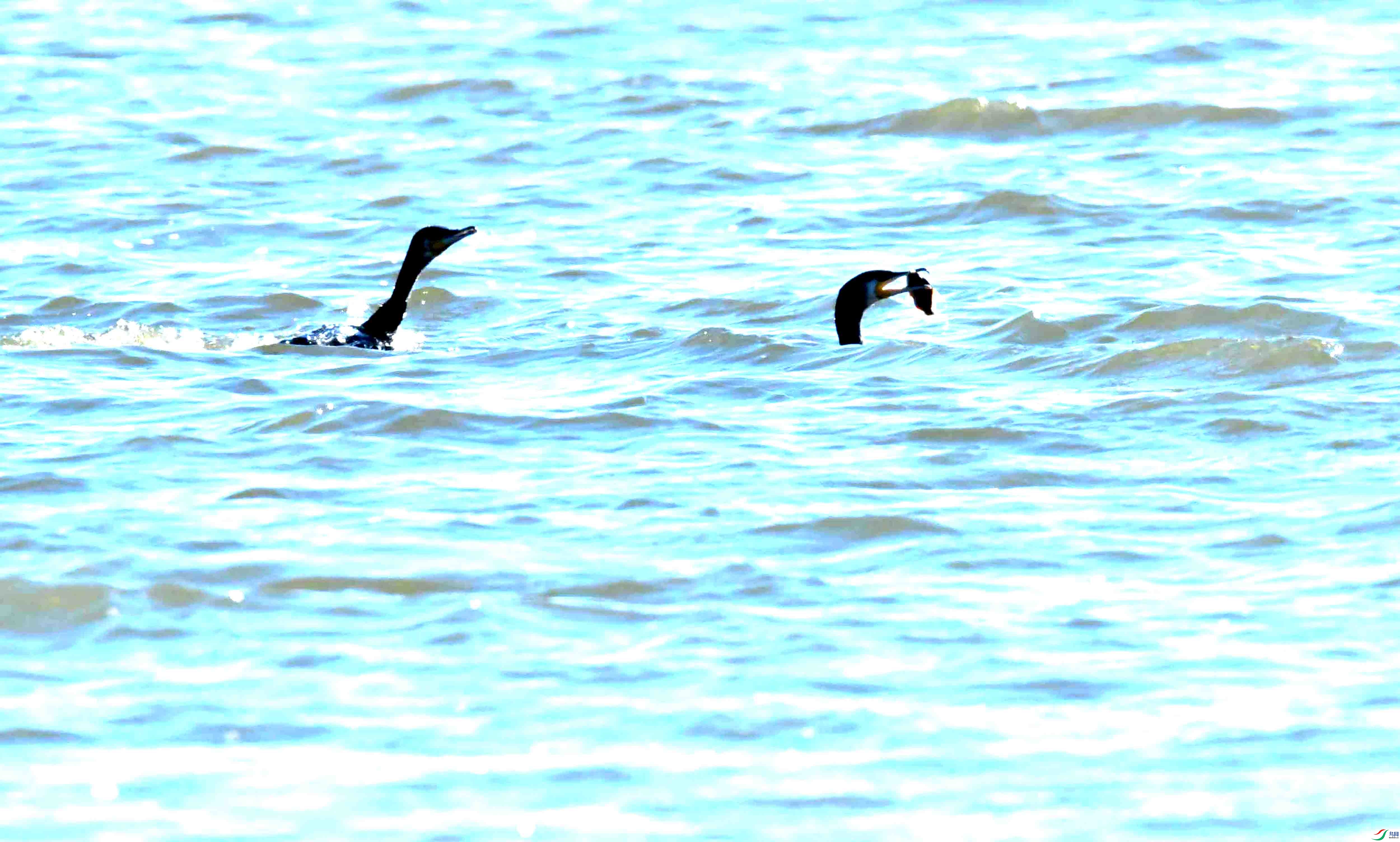 DSC_5093.JPG