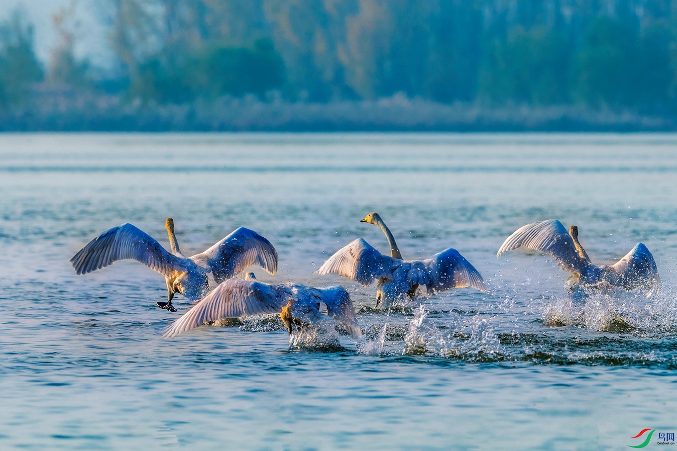 �����----̤���ڷ���˰�