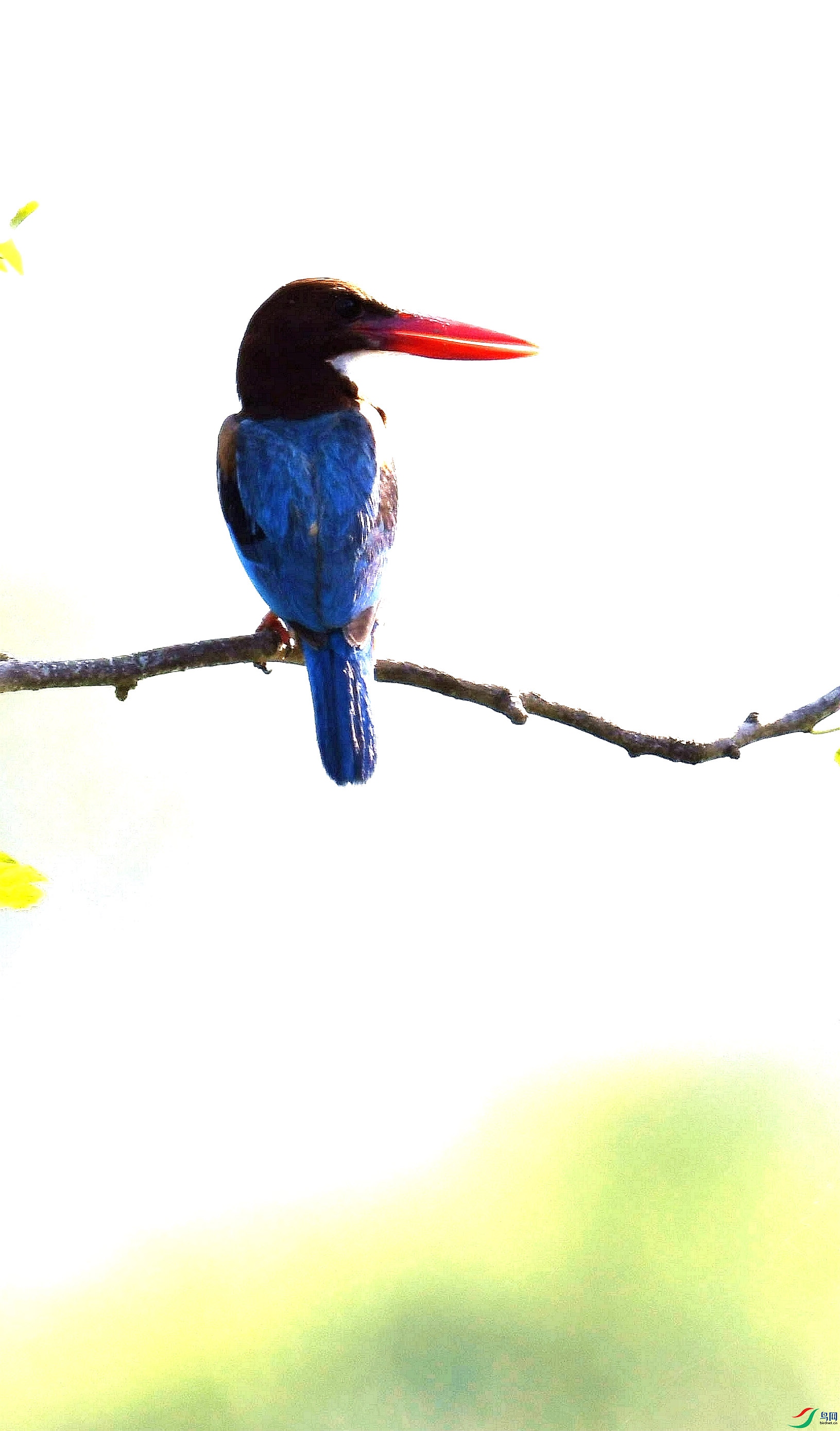 _DSC7717_����.jpg