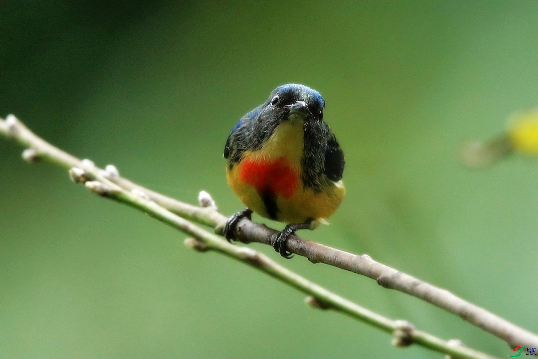 AH5Q5335_���� - ����.jpg