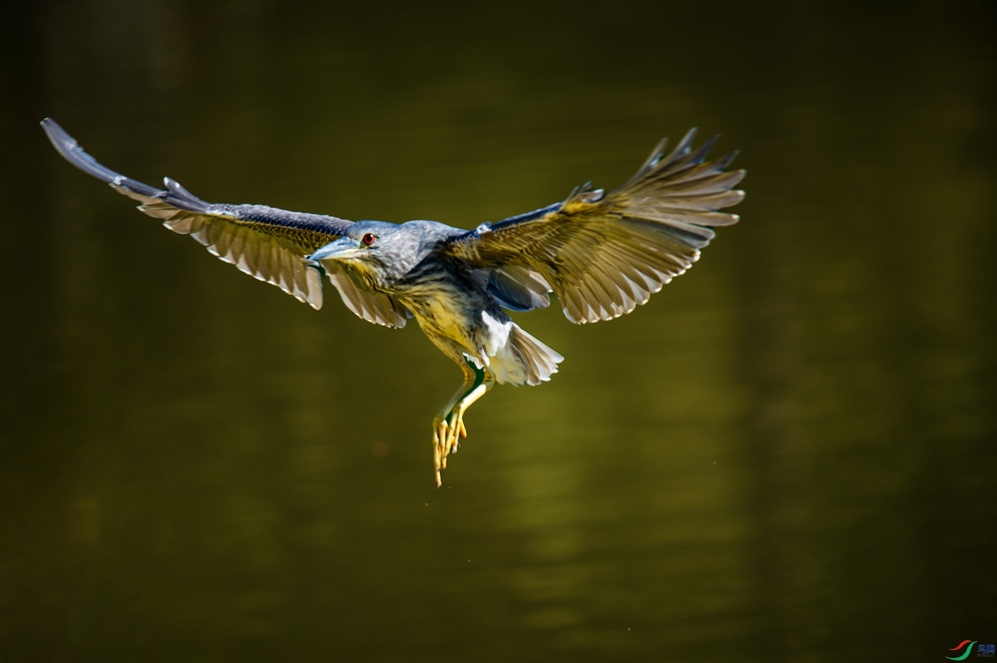 0DS_0372 ����.jpg