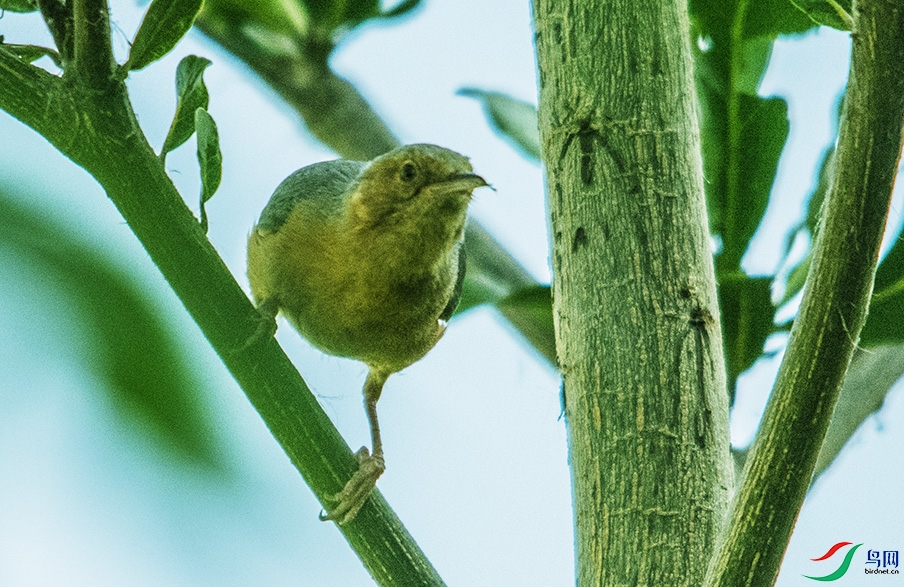 DSC_1405��βɭݺ.jpg