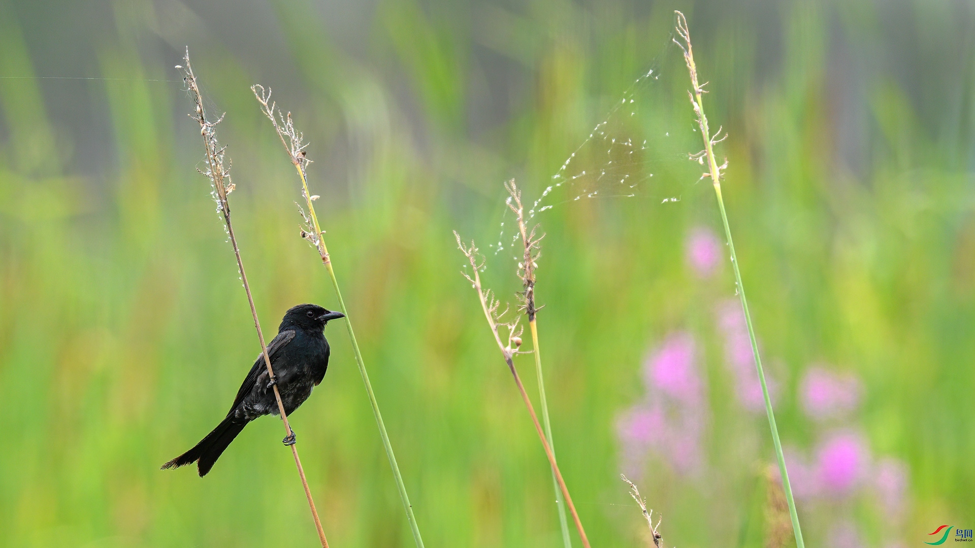 DSC_8756-1_01 ����.jpg