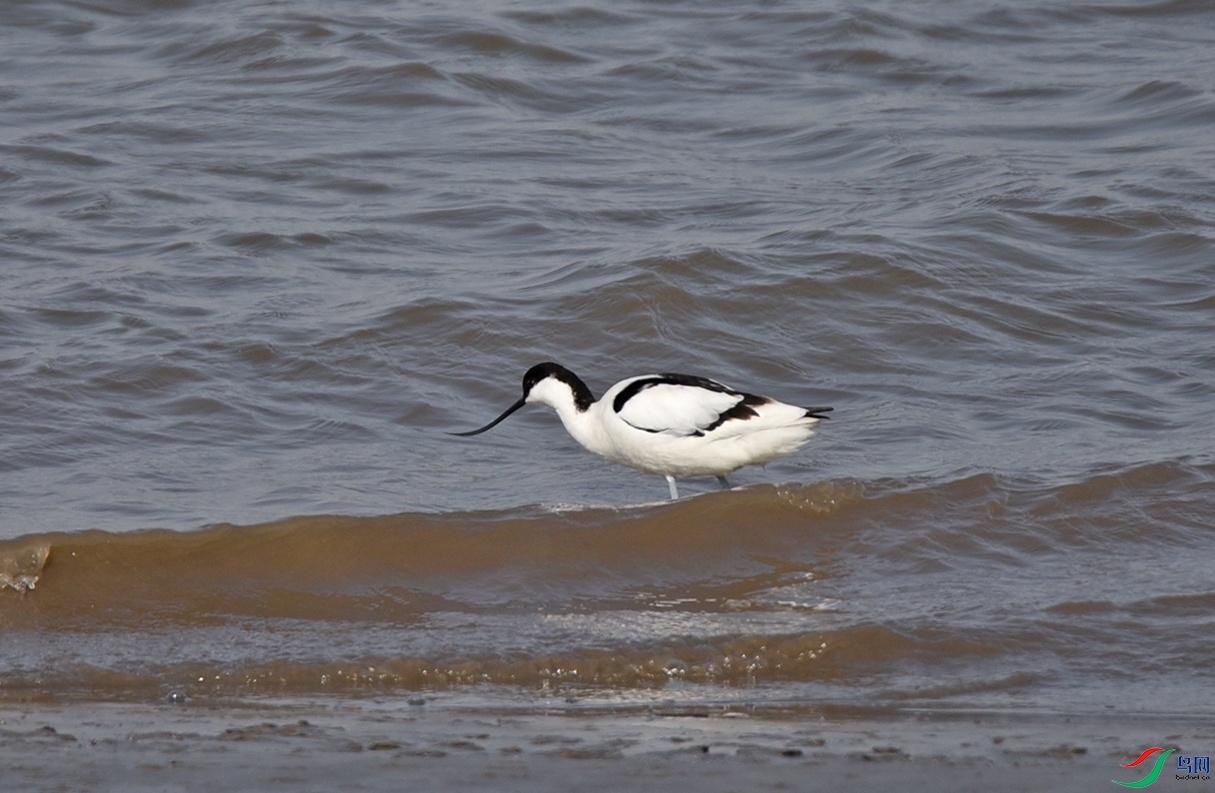 DSC_4218.jpg