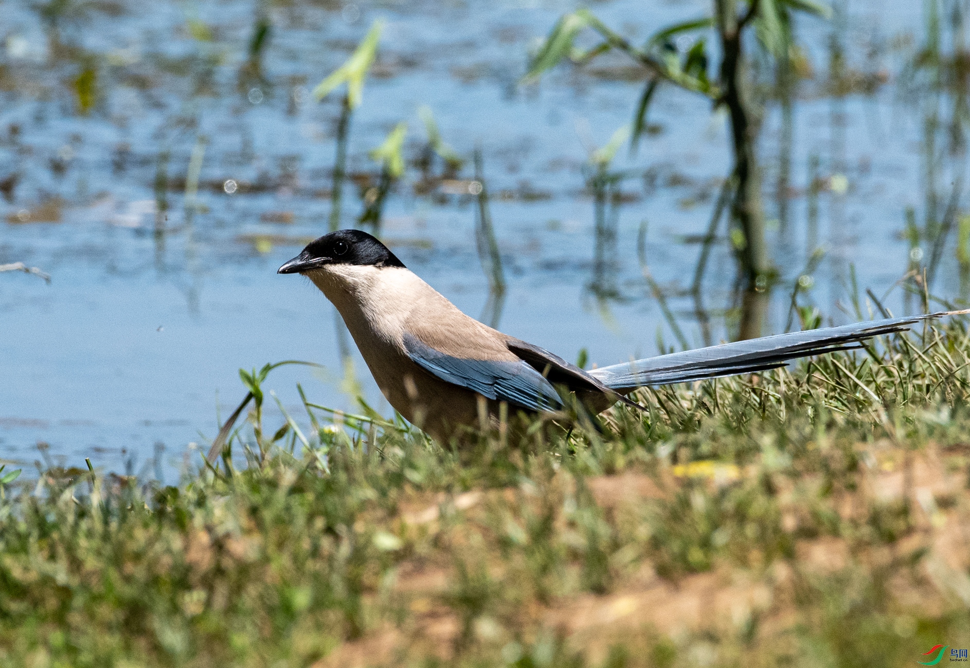 DSC_7440.jpg