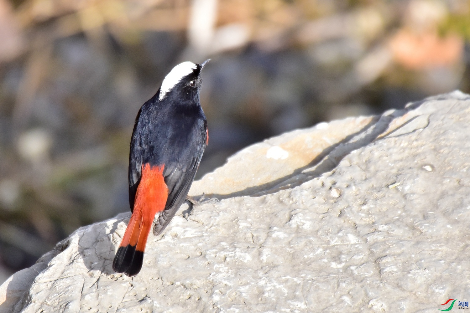 DSC_3790.JPG