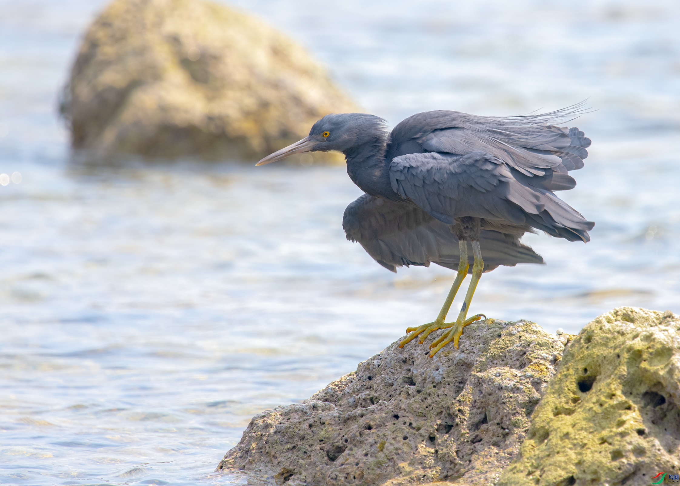 1808 ����.jpg