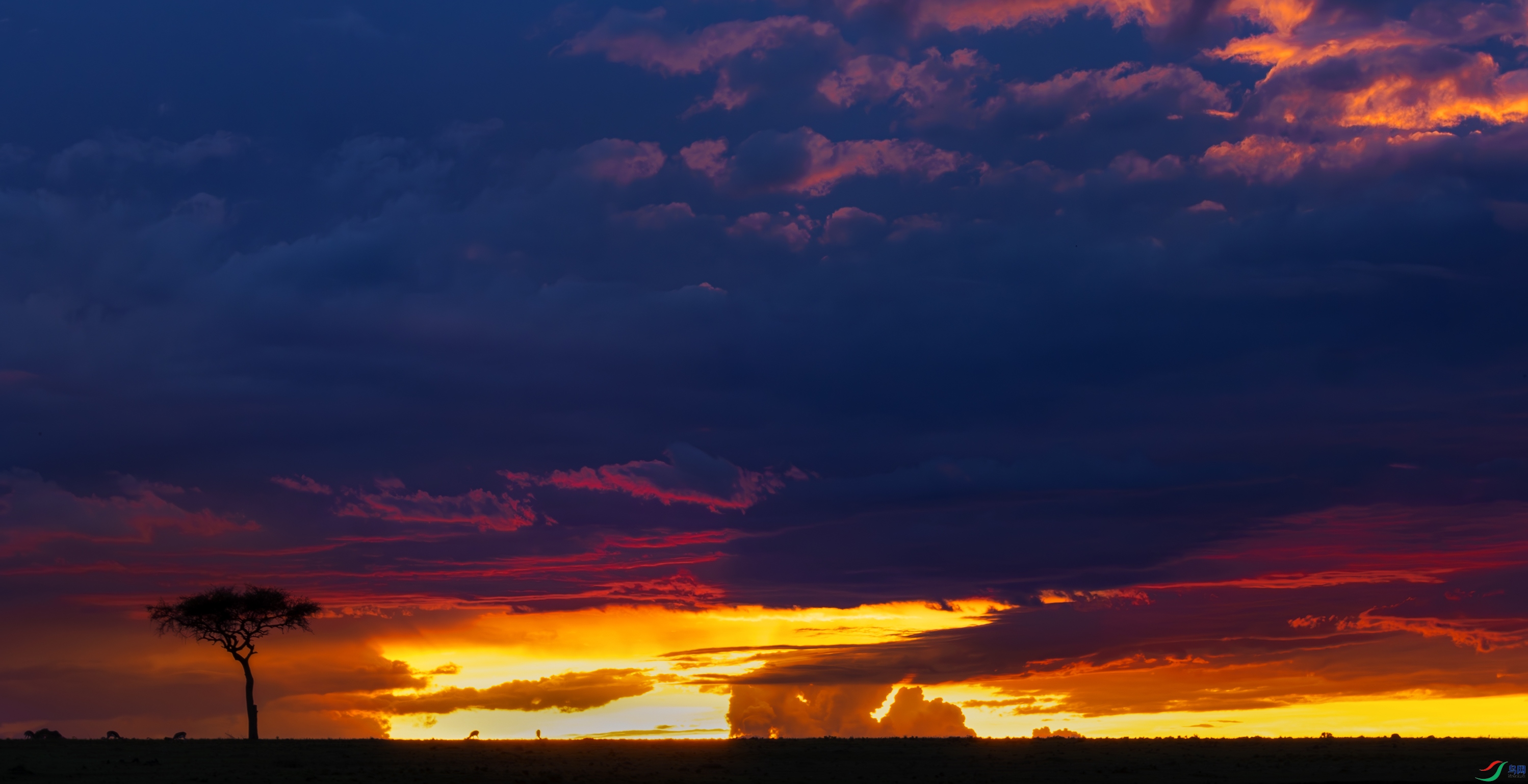 _21A3350-����ǿ-NR-02.jpg