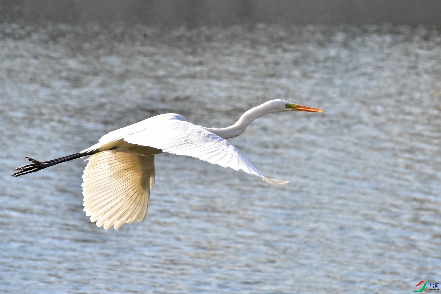 DSC_5161.JPG