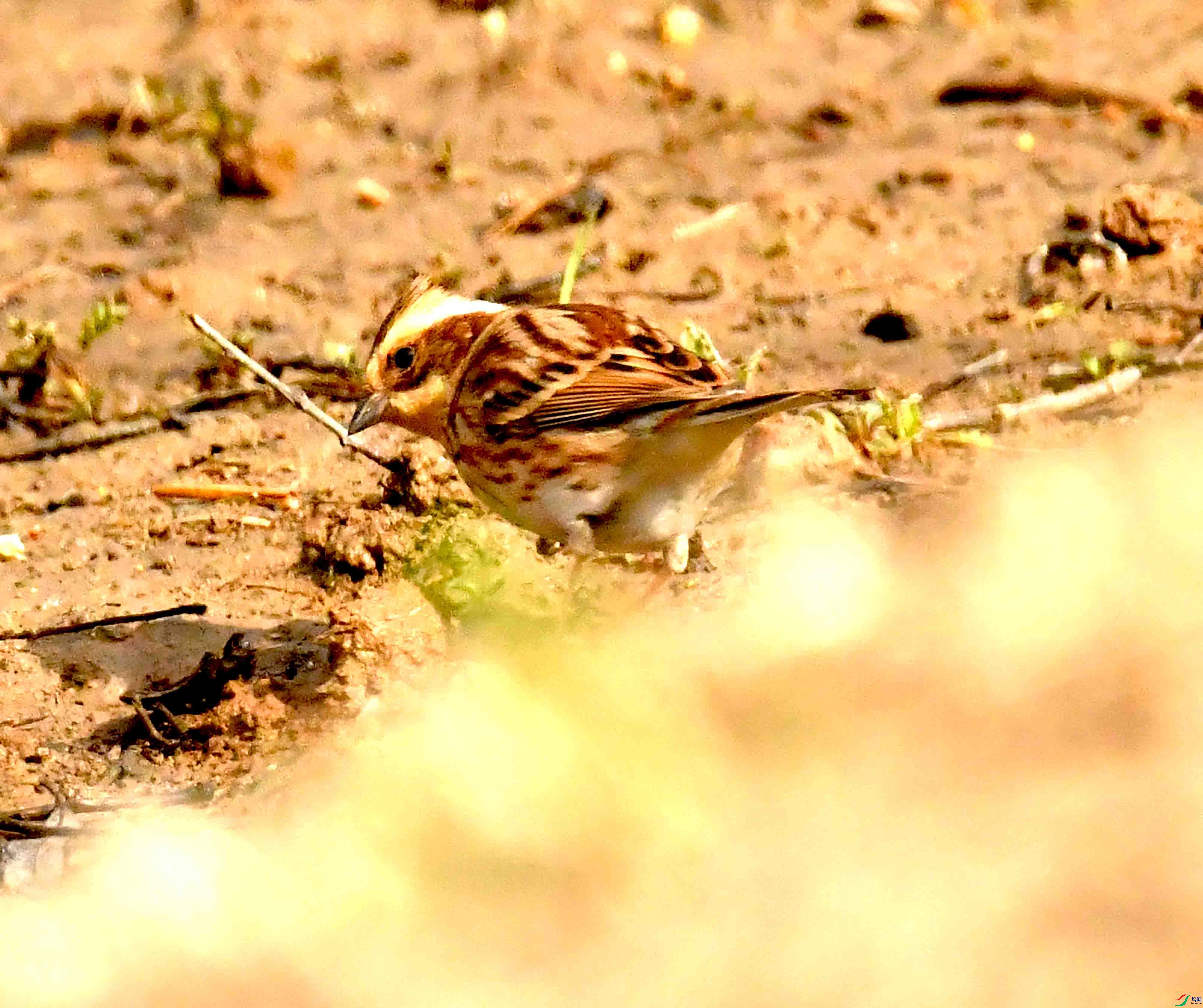 DSC_1873.JPG