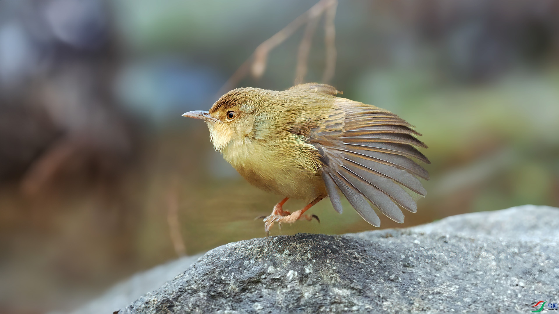 P2010814-1.jpg