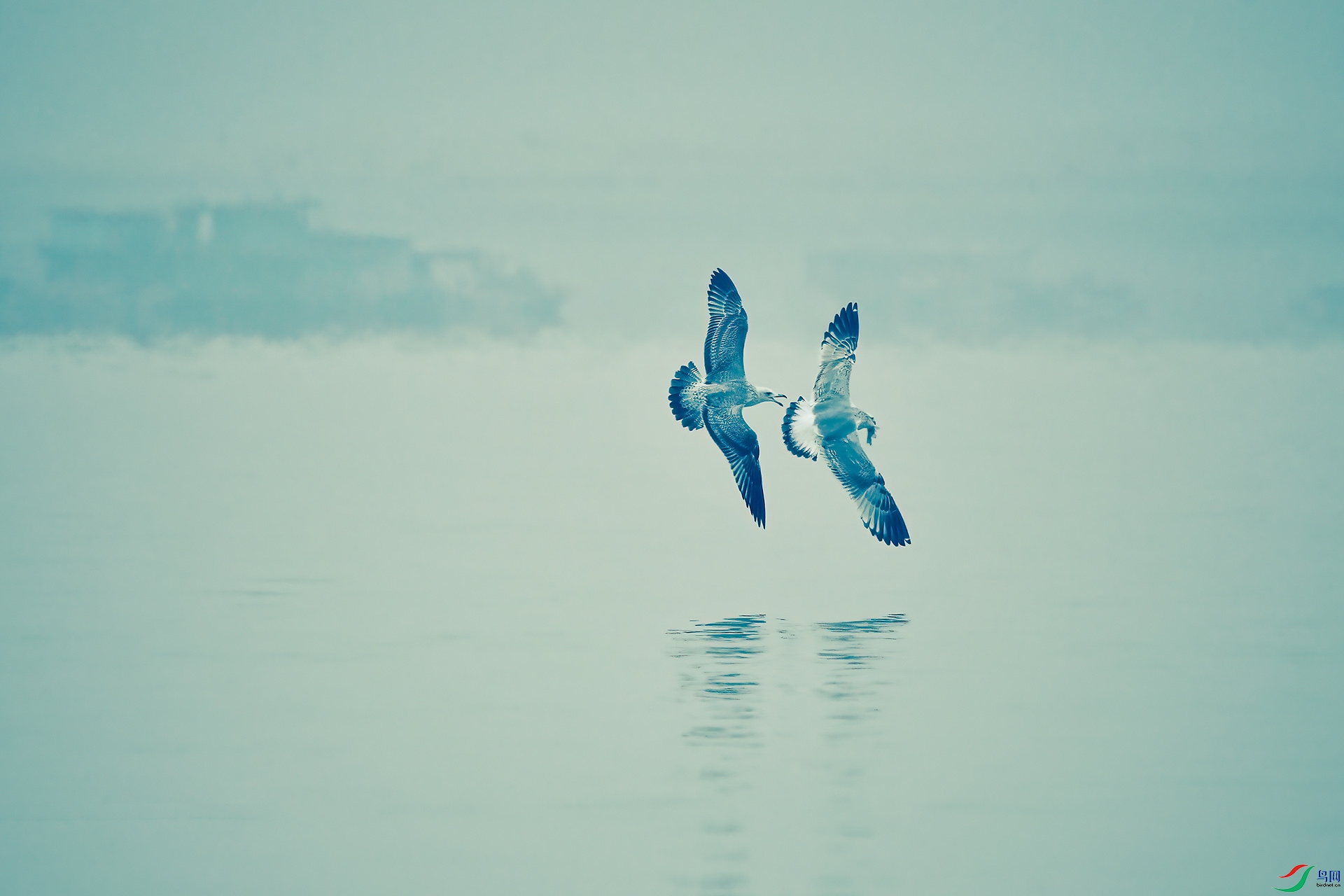 psc (15) ����.jpg