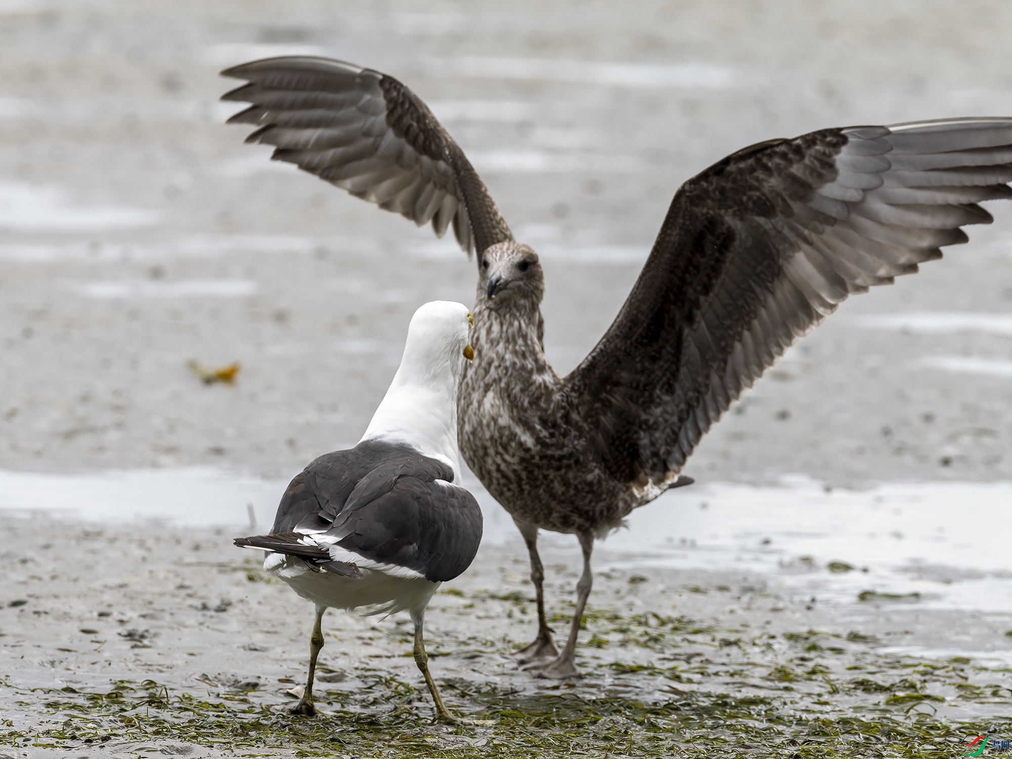 ��Ÿ���001 ����.jpg