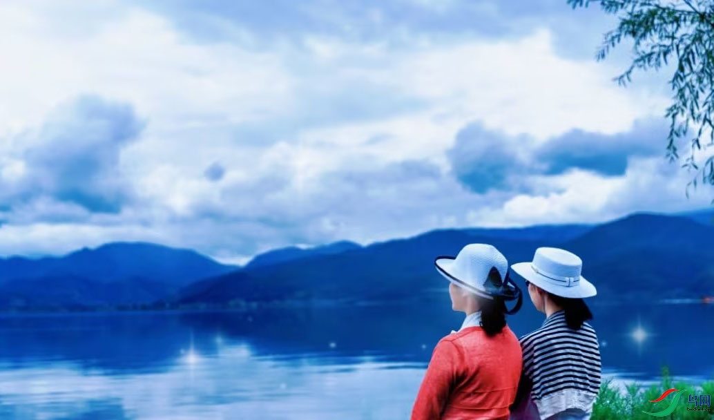 �����ƾ�����