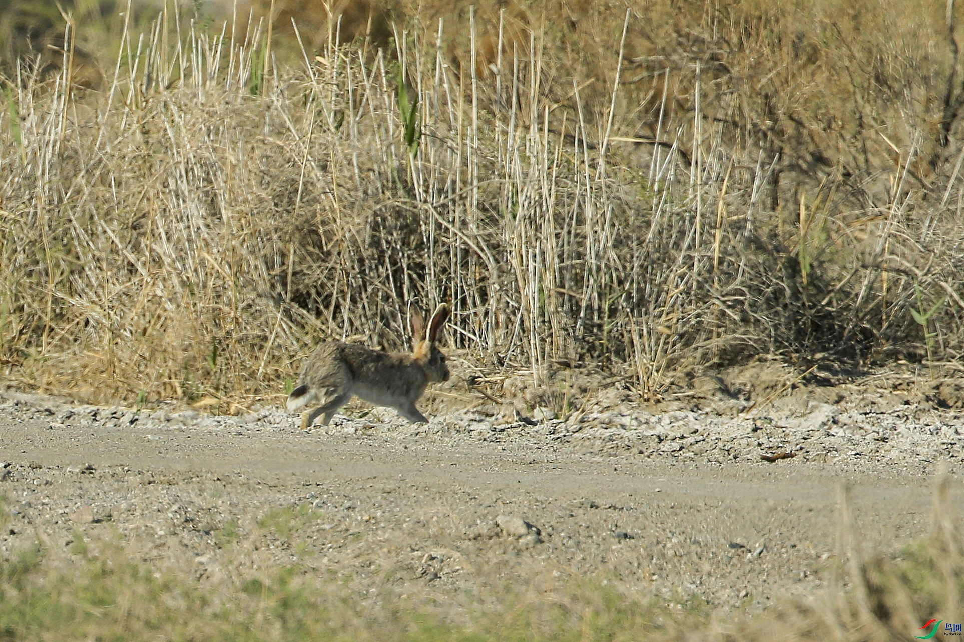 AB1I8315.JPG