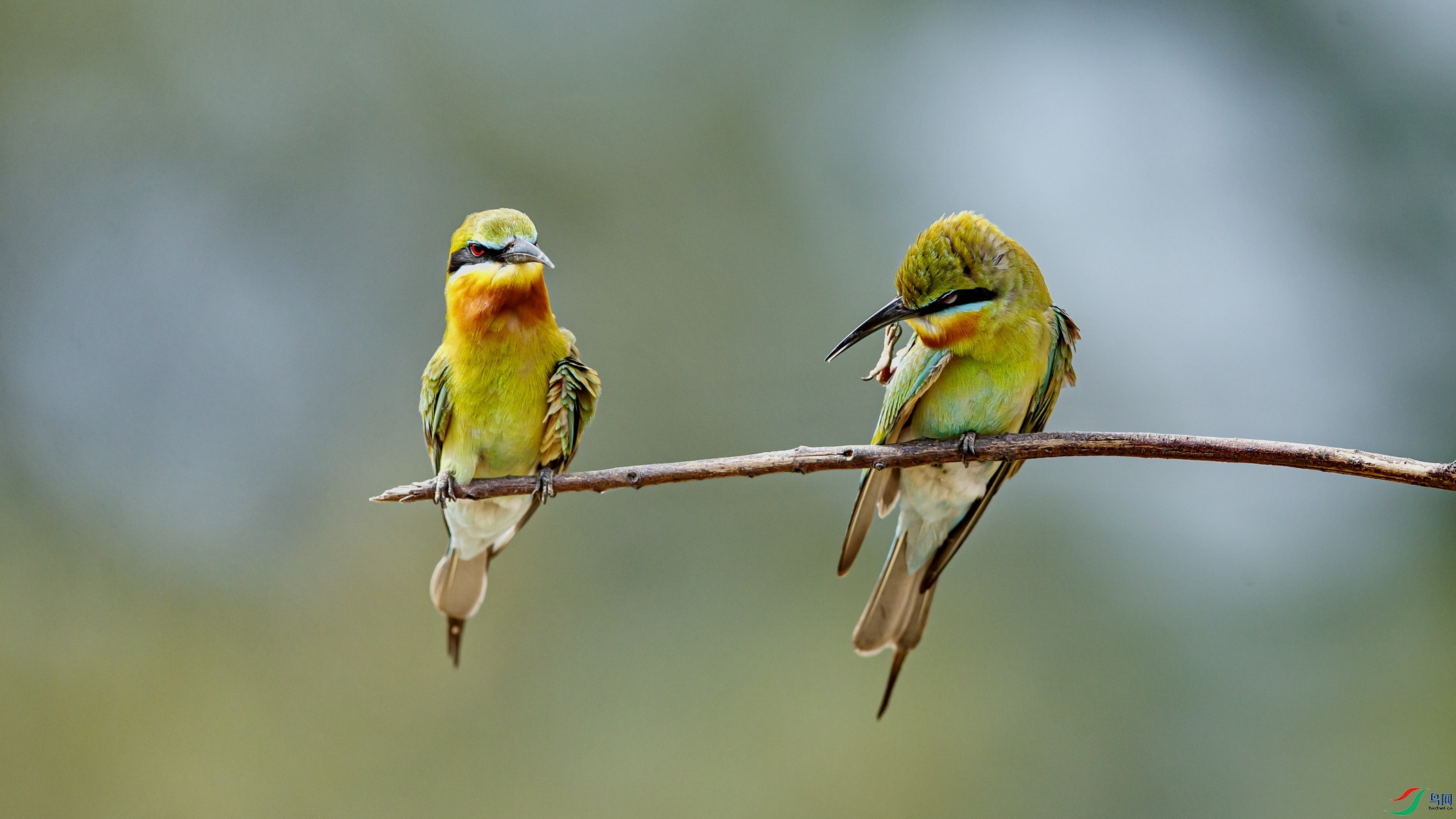 _C0I7704 ����.jpg