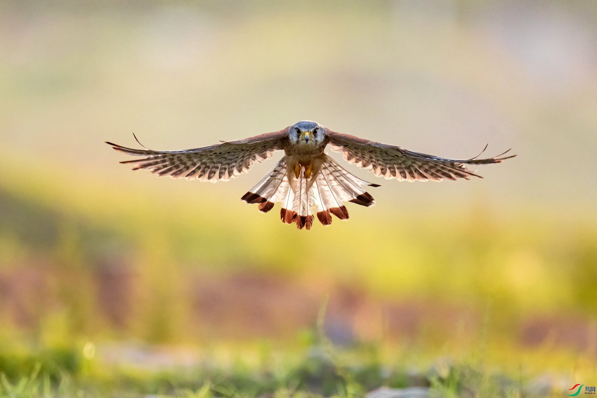 ���� ��ӭ������ĺ����� ����.jpg