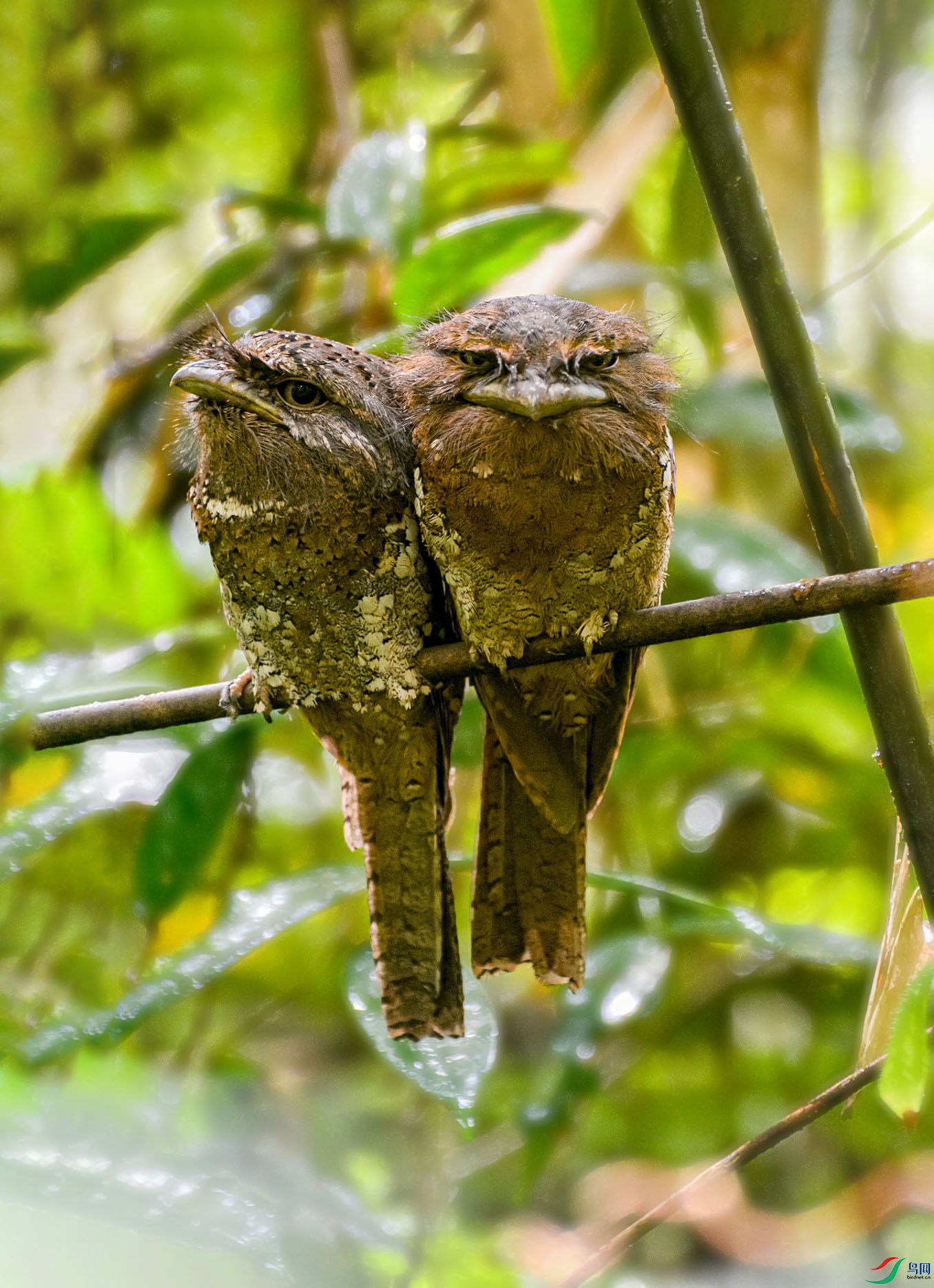 _DSC1486-�ָ��� ����.jpg