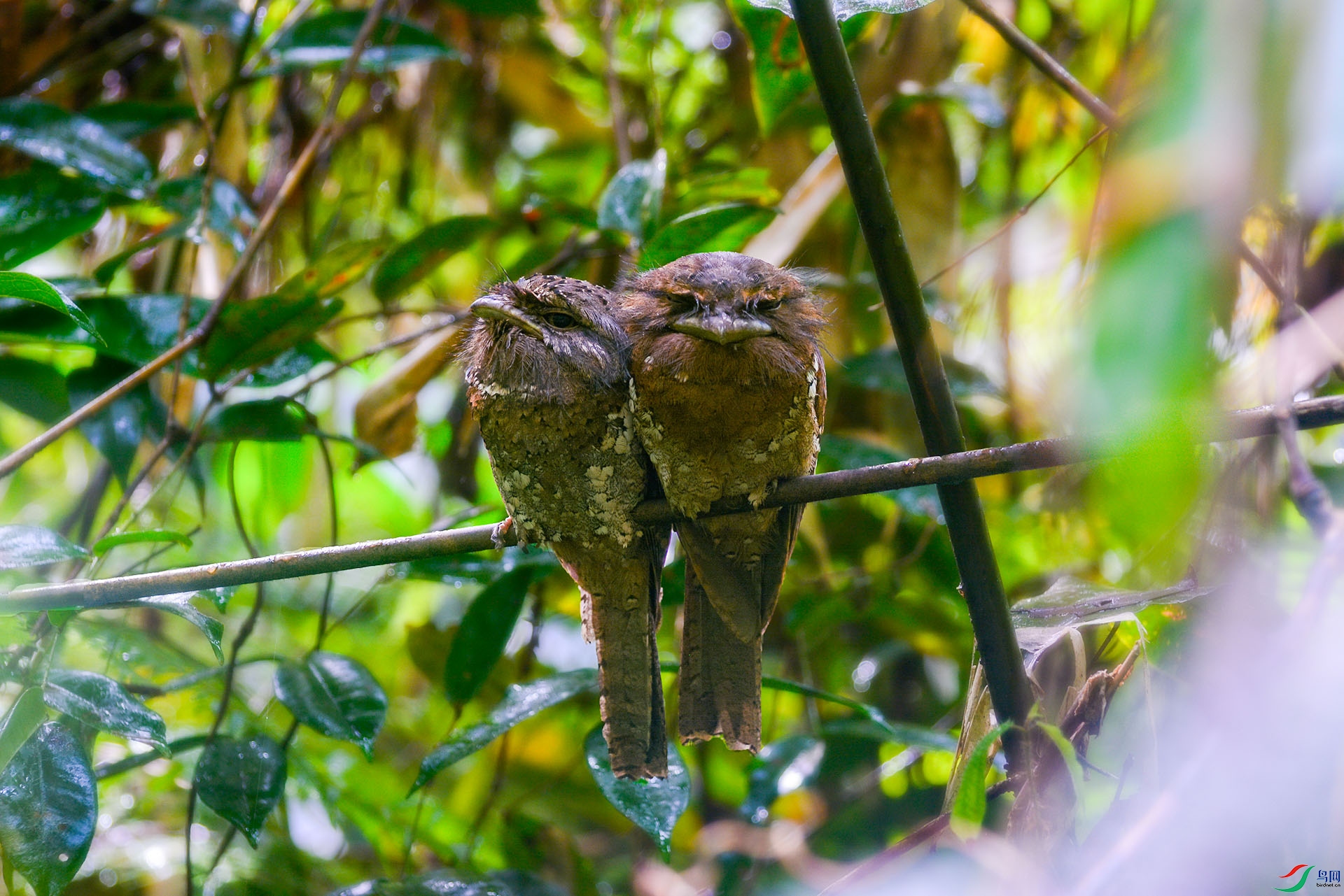 _DSC1495 ����.jpg