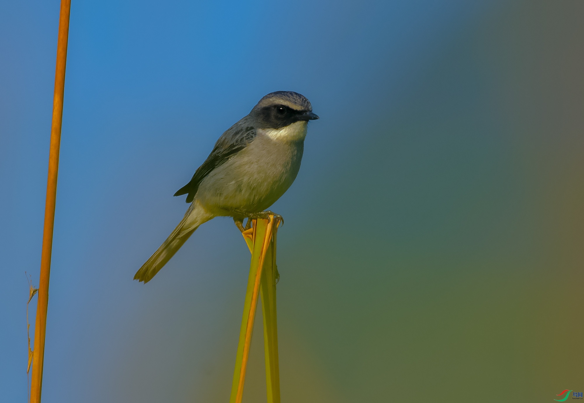 DSC_0639.JPG